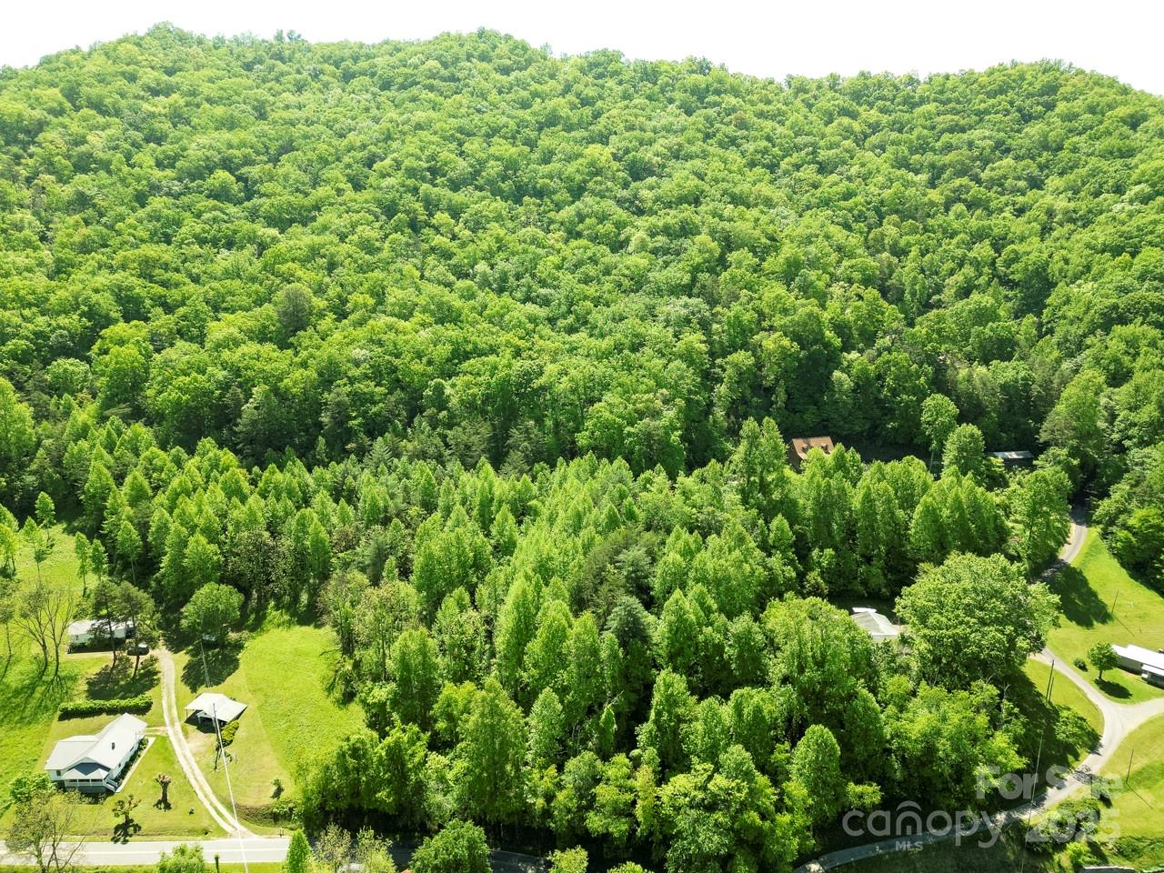 Off Of Locust Creek Road Property Photo 11