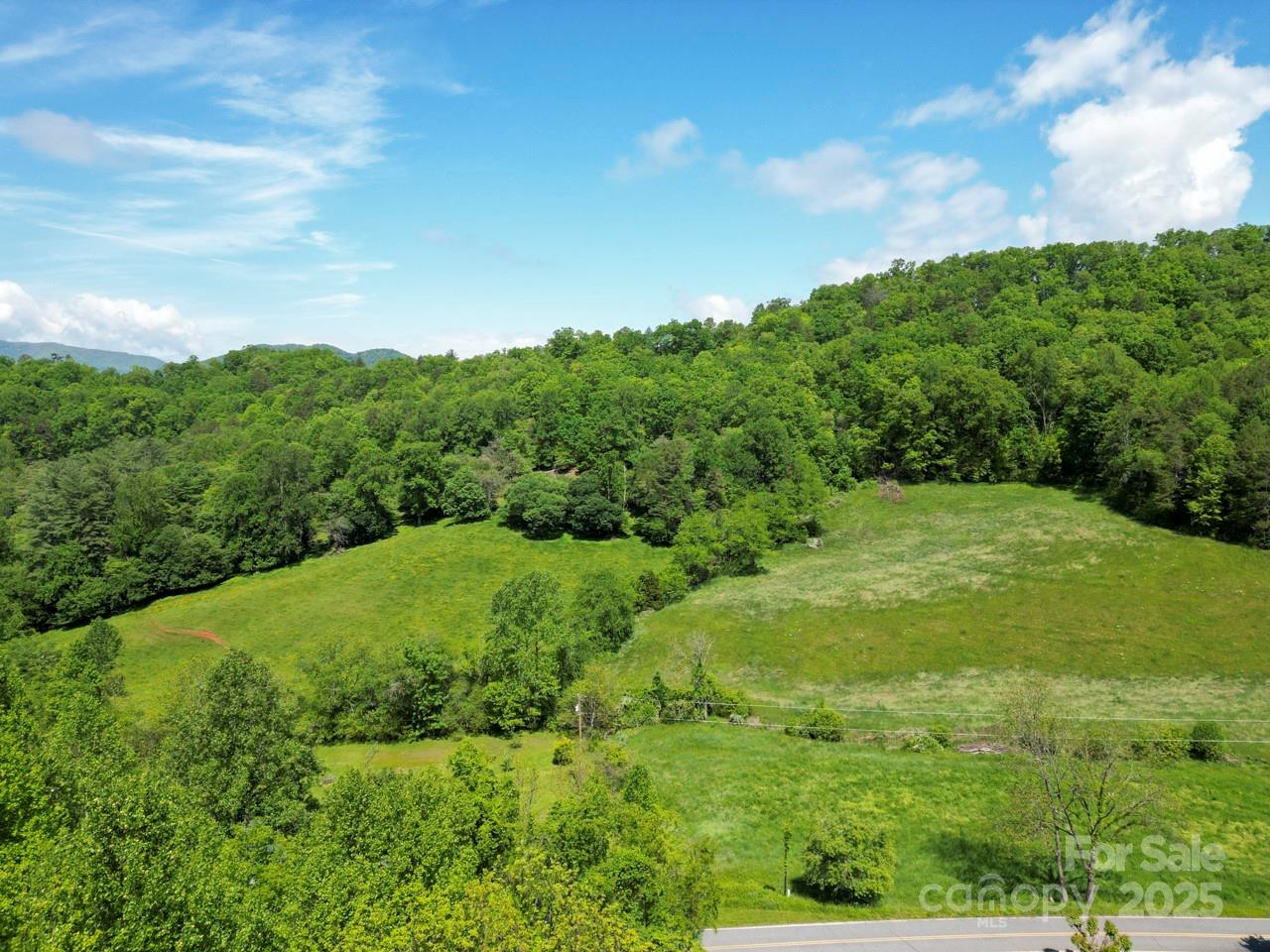 Off Of Locust Creek Road Property Photo 13