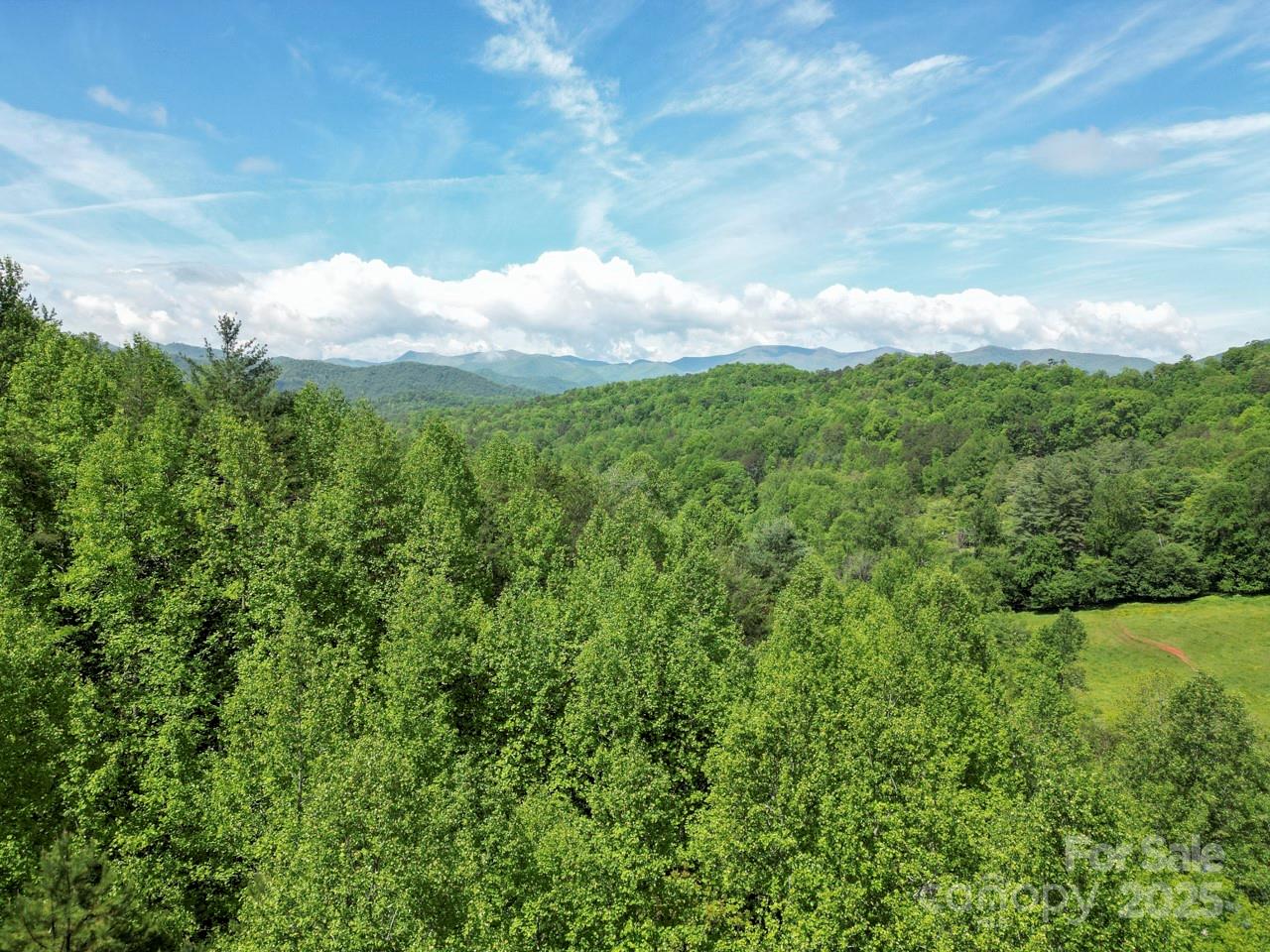 Off Of Locust Creek Road Property Photo 14