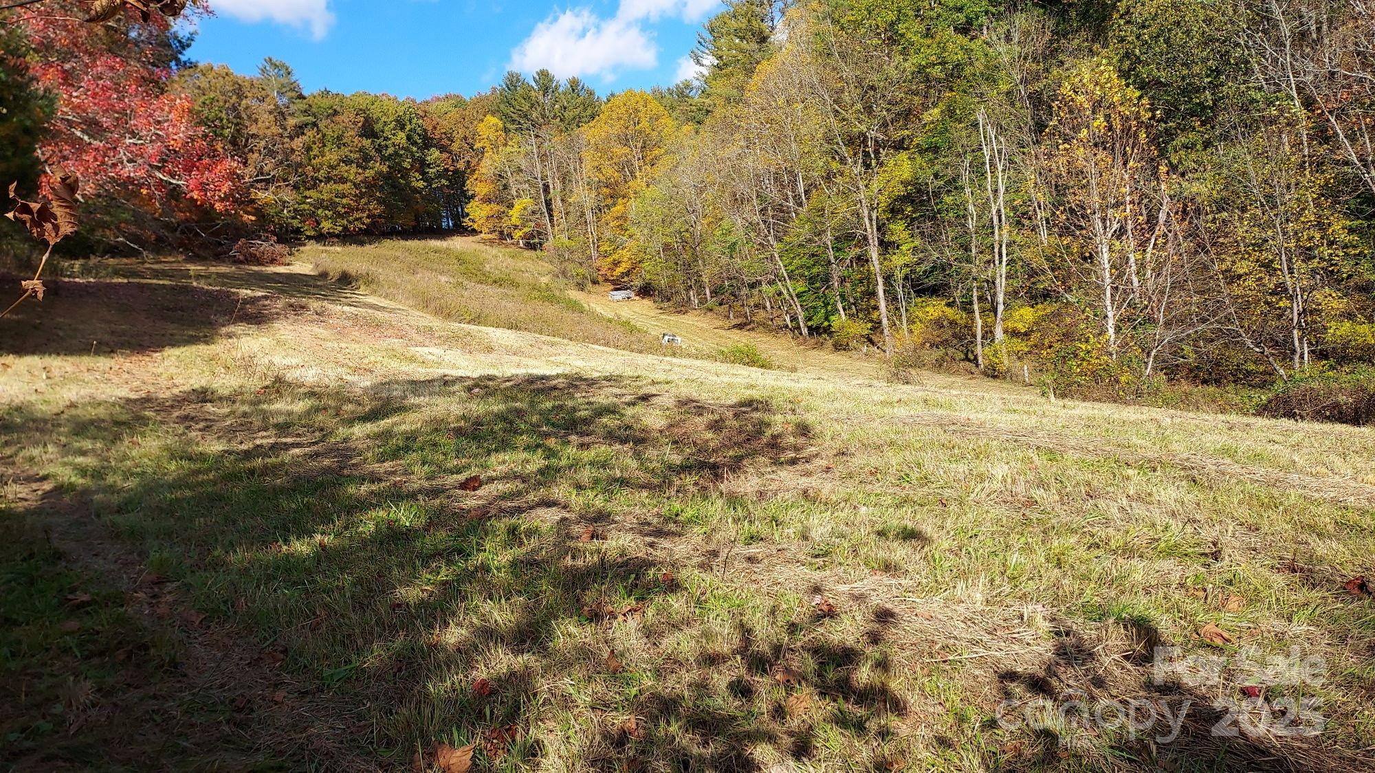 Tbd Loggy Hollow Road Property Photo