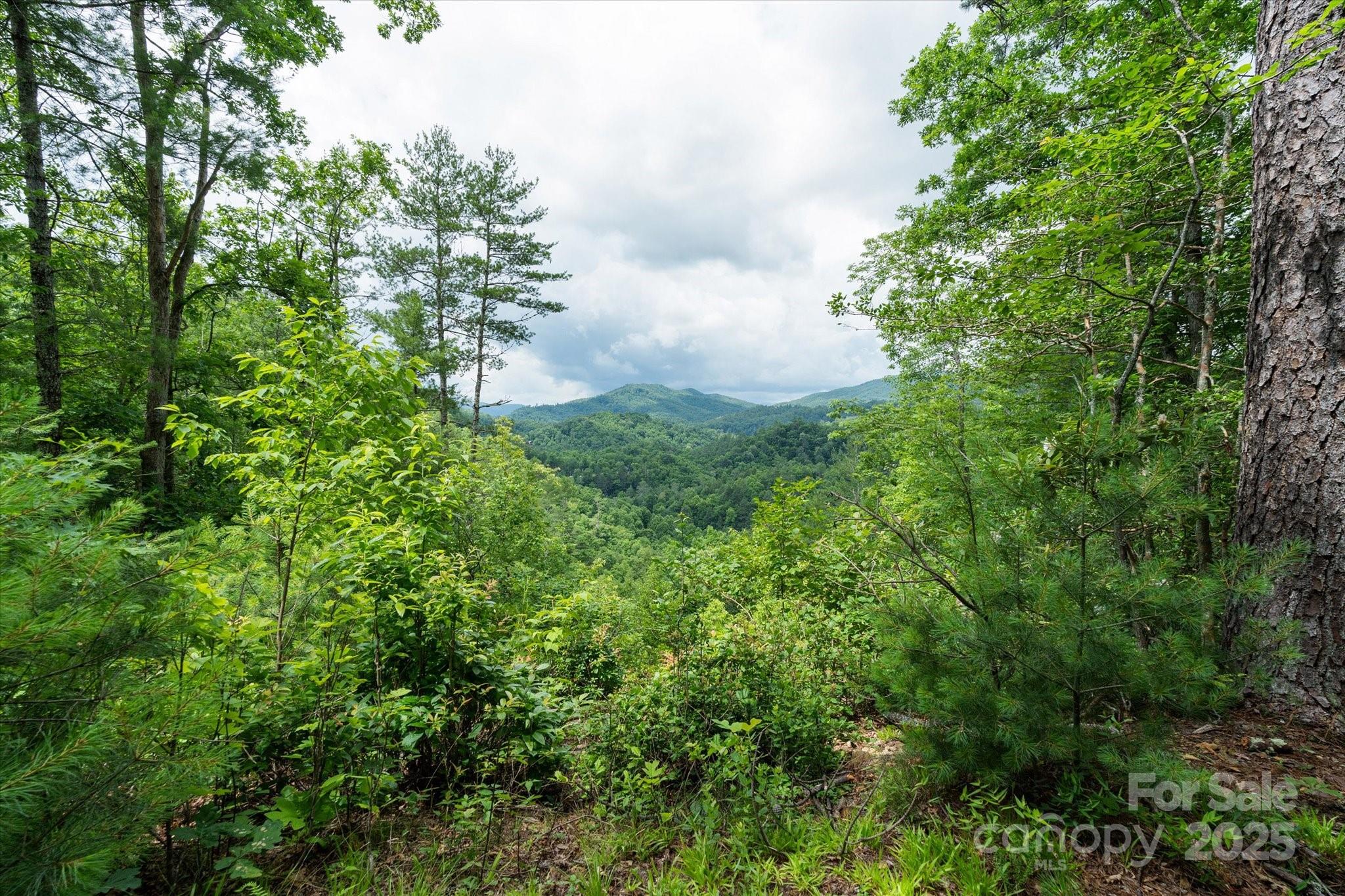 99999 Guntertown Road Property Photo 3