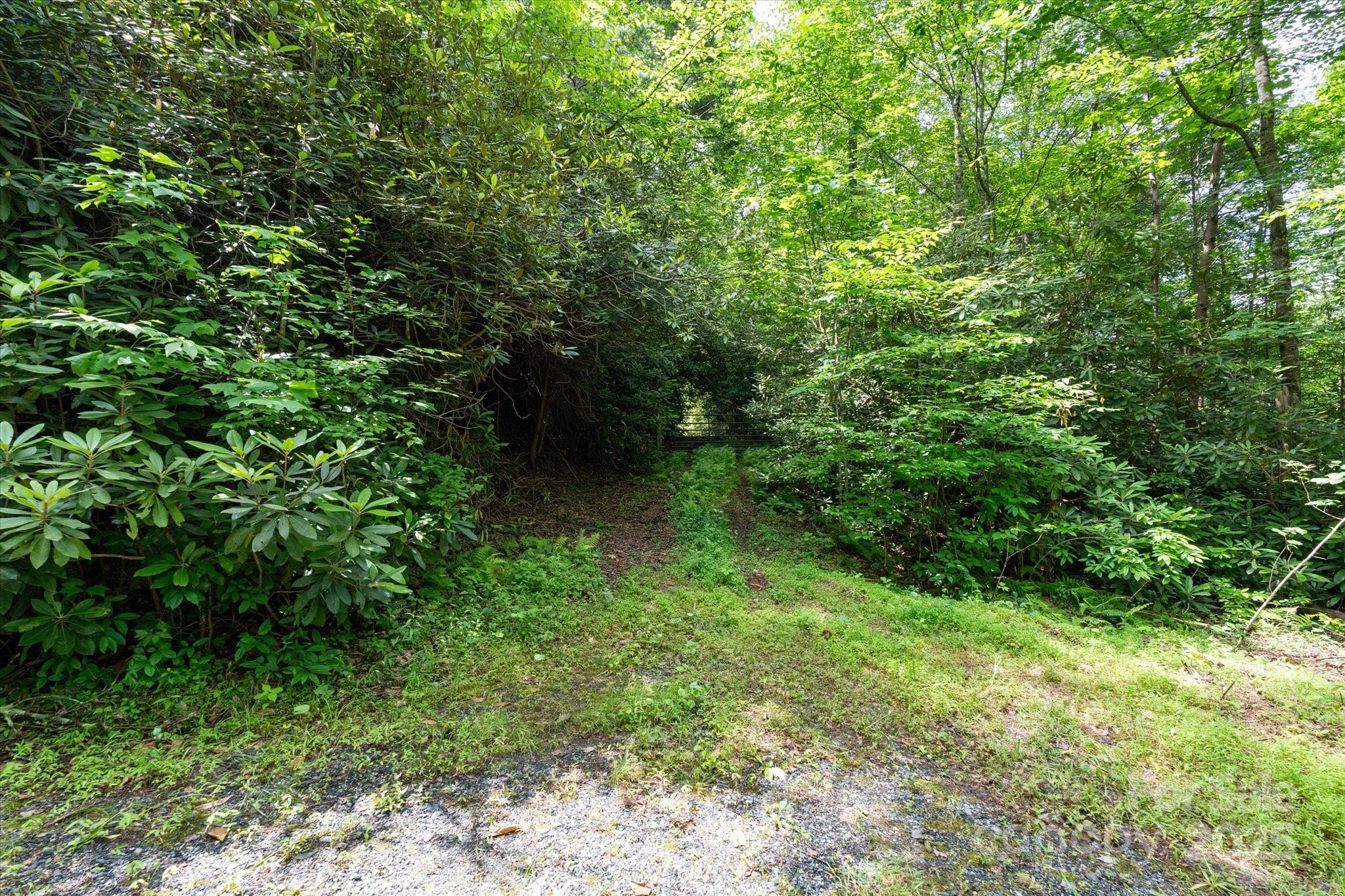 99999 Guntertown Road Property Photo 4