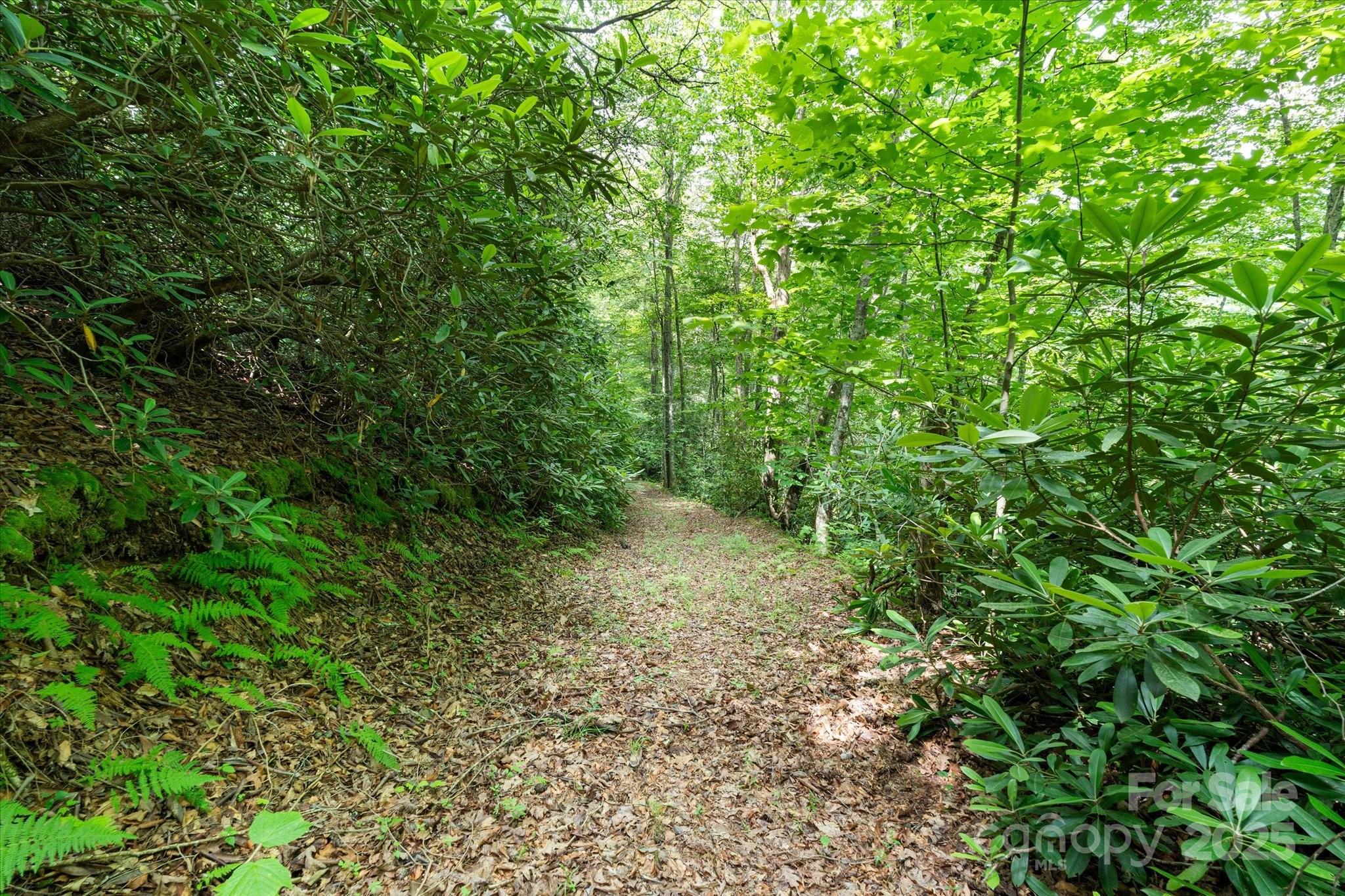 99999 Guntertown Road Property Photo 5