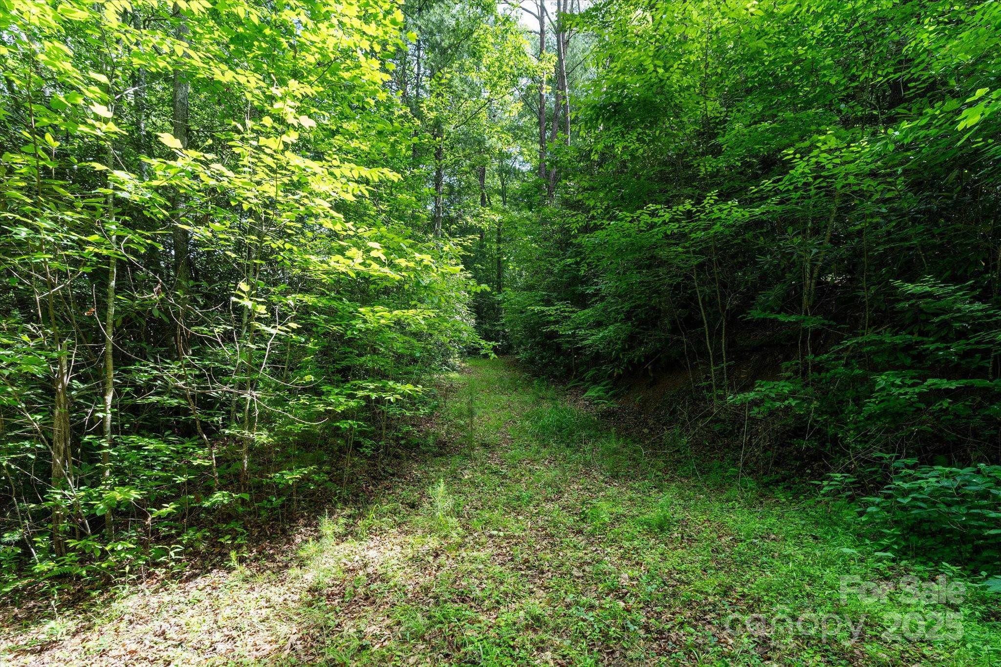 99999 Guntertown Road Property Photo 6