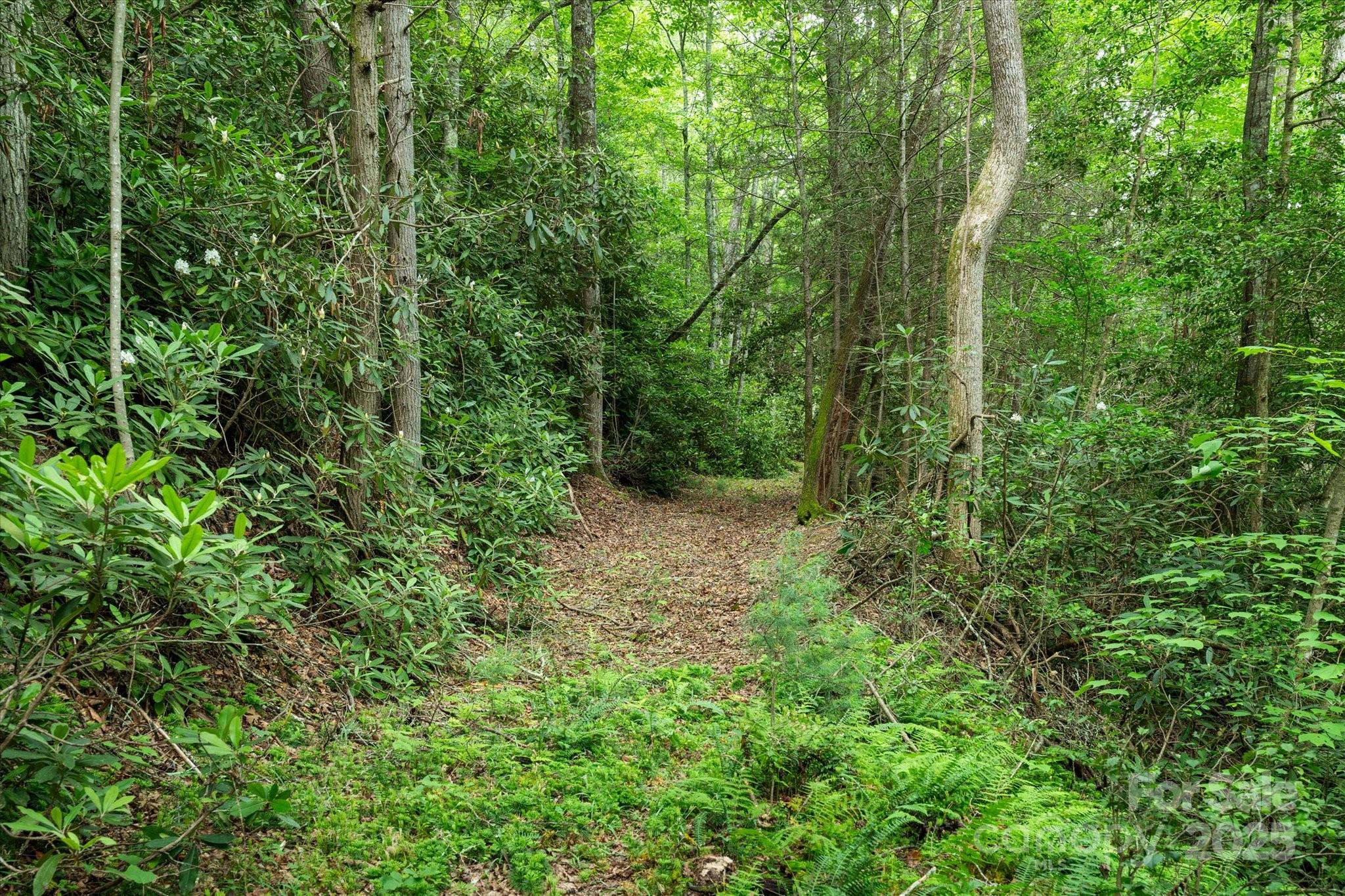 99999 Guntertown Road Property Photo 7