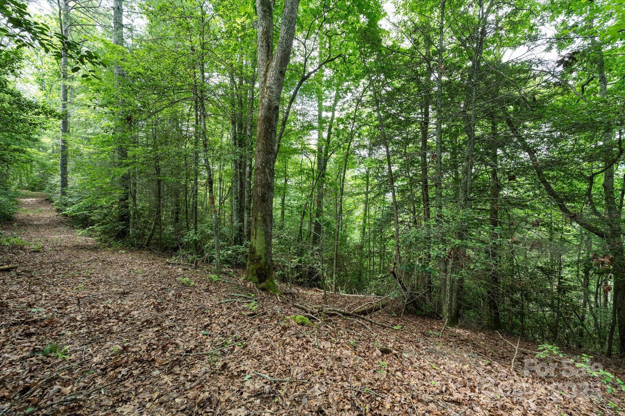 99999 Guntertown Road Property Photo 8