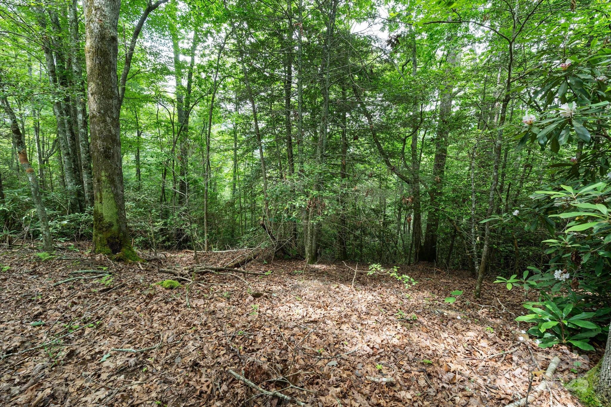 99999 Guntertown Road Property Photo 9