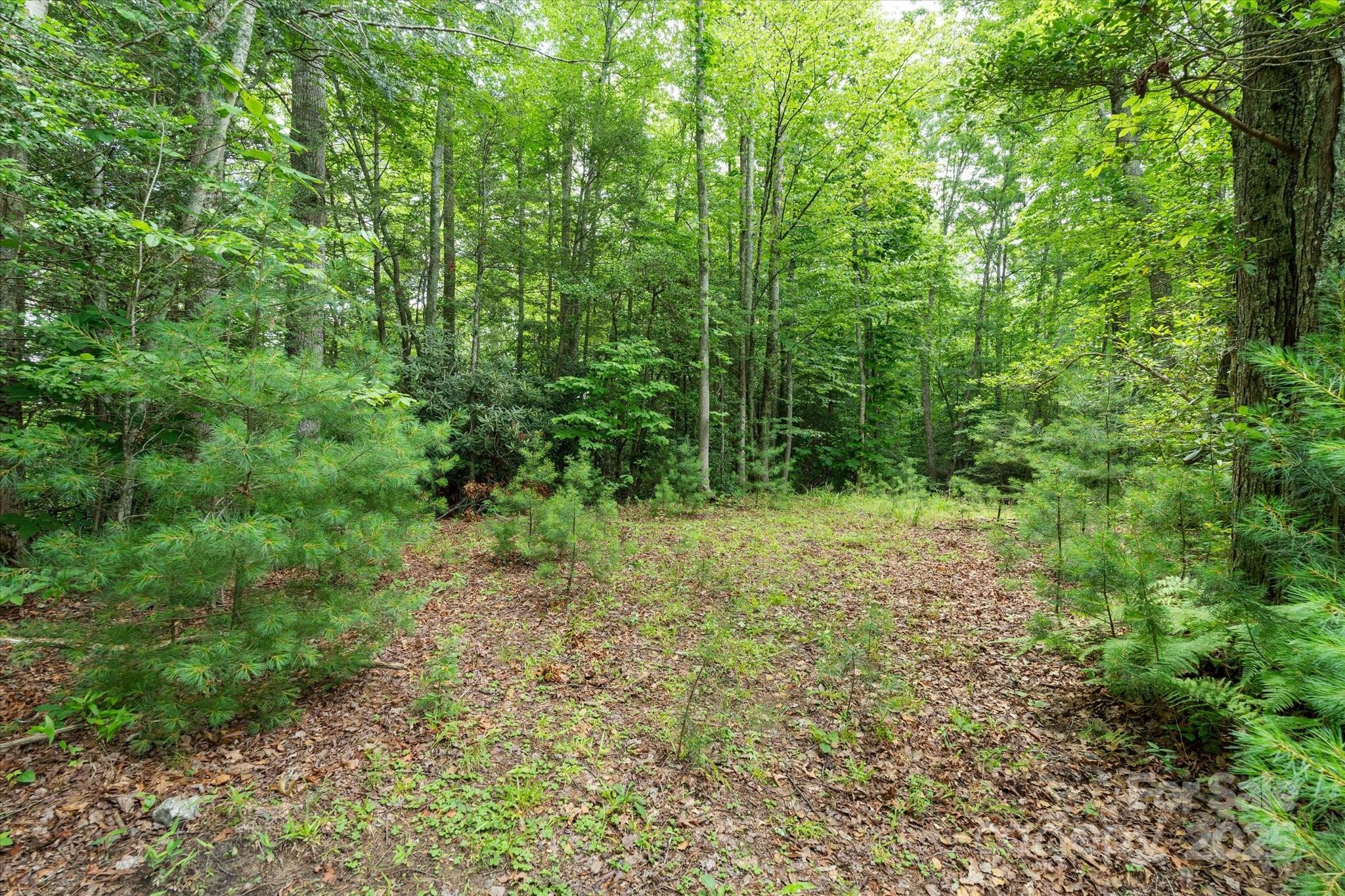 99999 Guntertown Road Property Photo 10