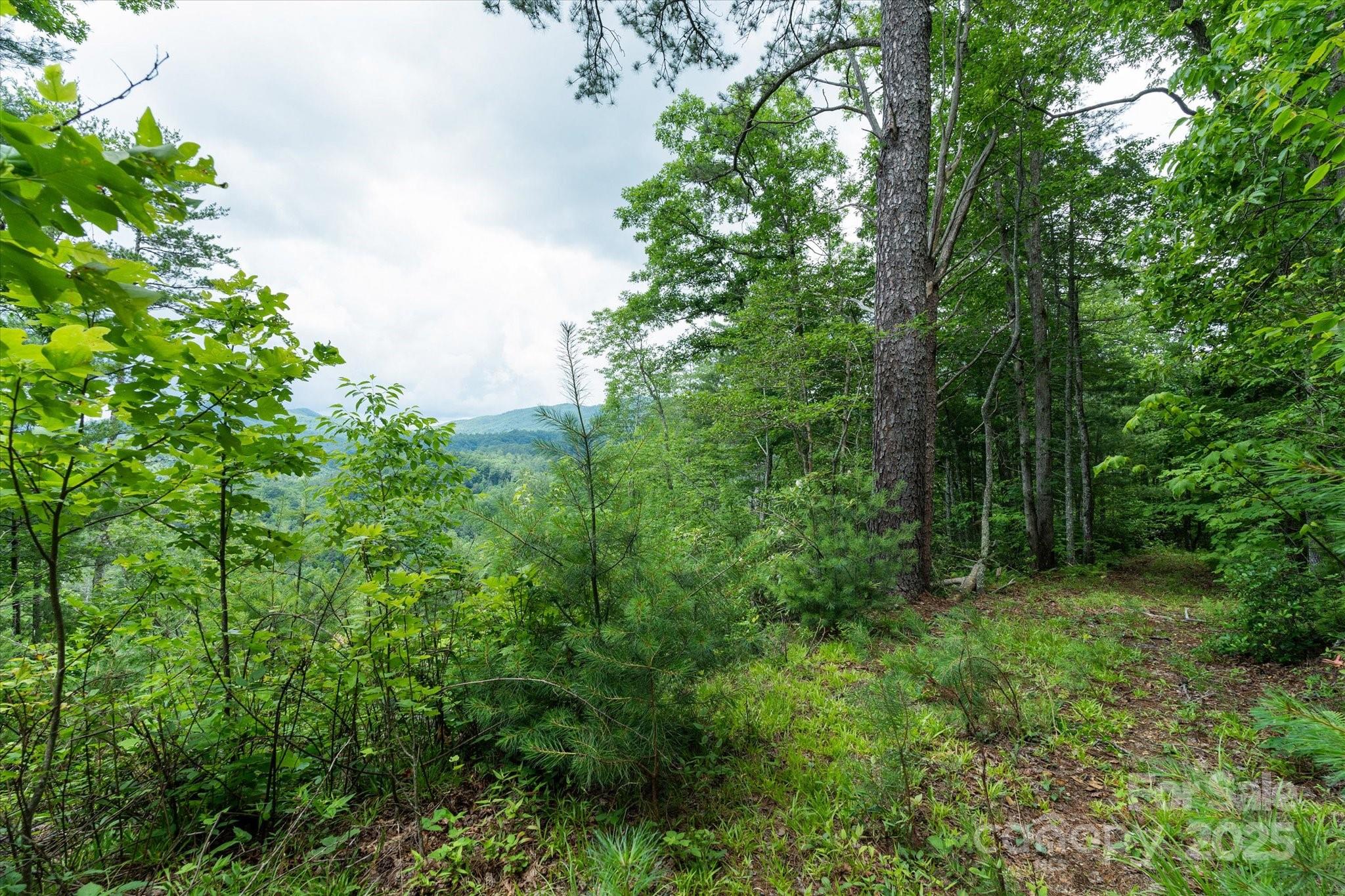 99999 Guntertown Road Property Photo 11