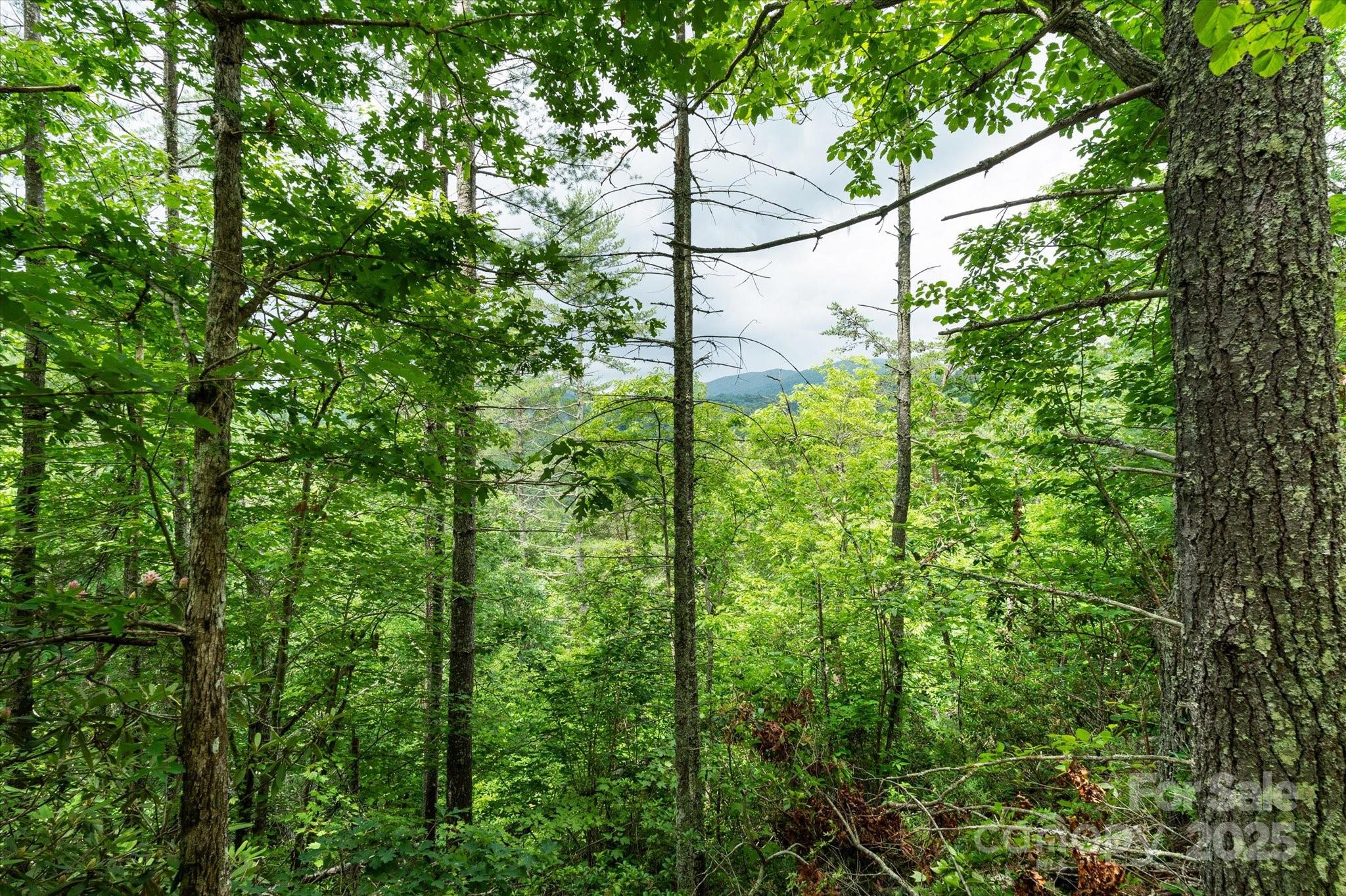 99999 Guntertown Road Property Photo 12