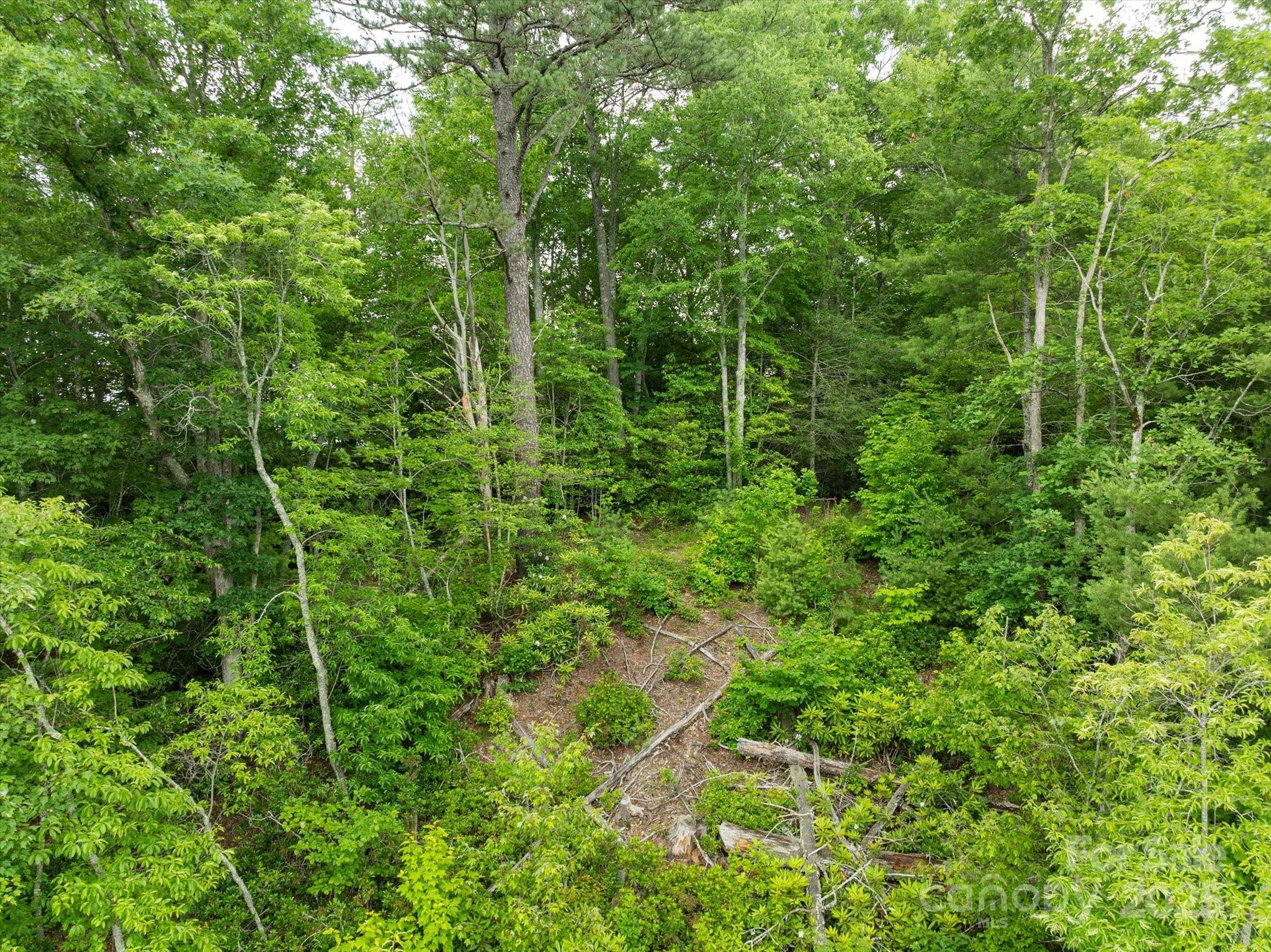 99999 Guntertown Road Property Photo 13