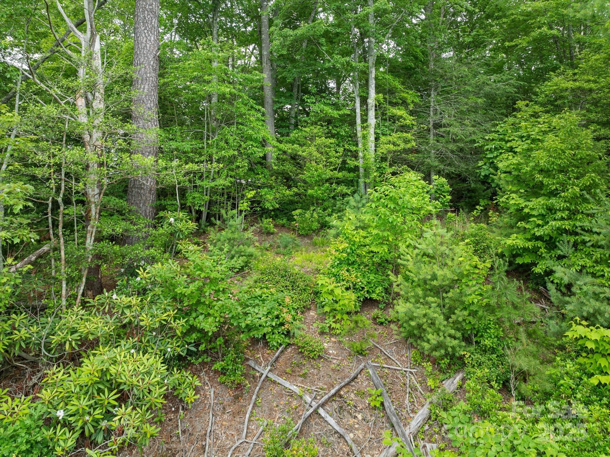 99999 Guntertown Road Property Photo 14