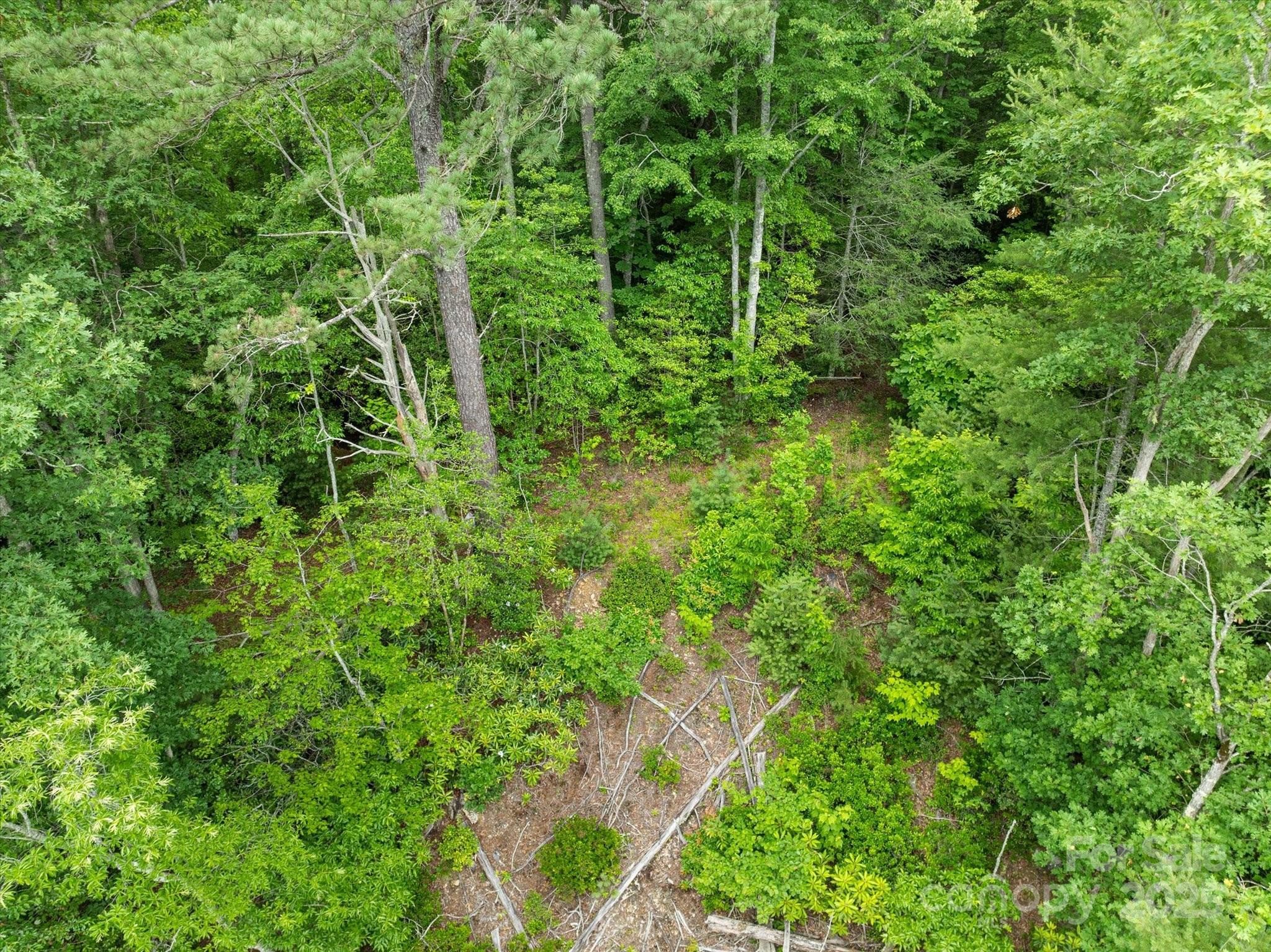 99999 Guntertown Road Property Photo 15