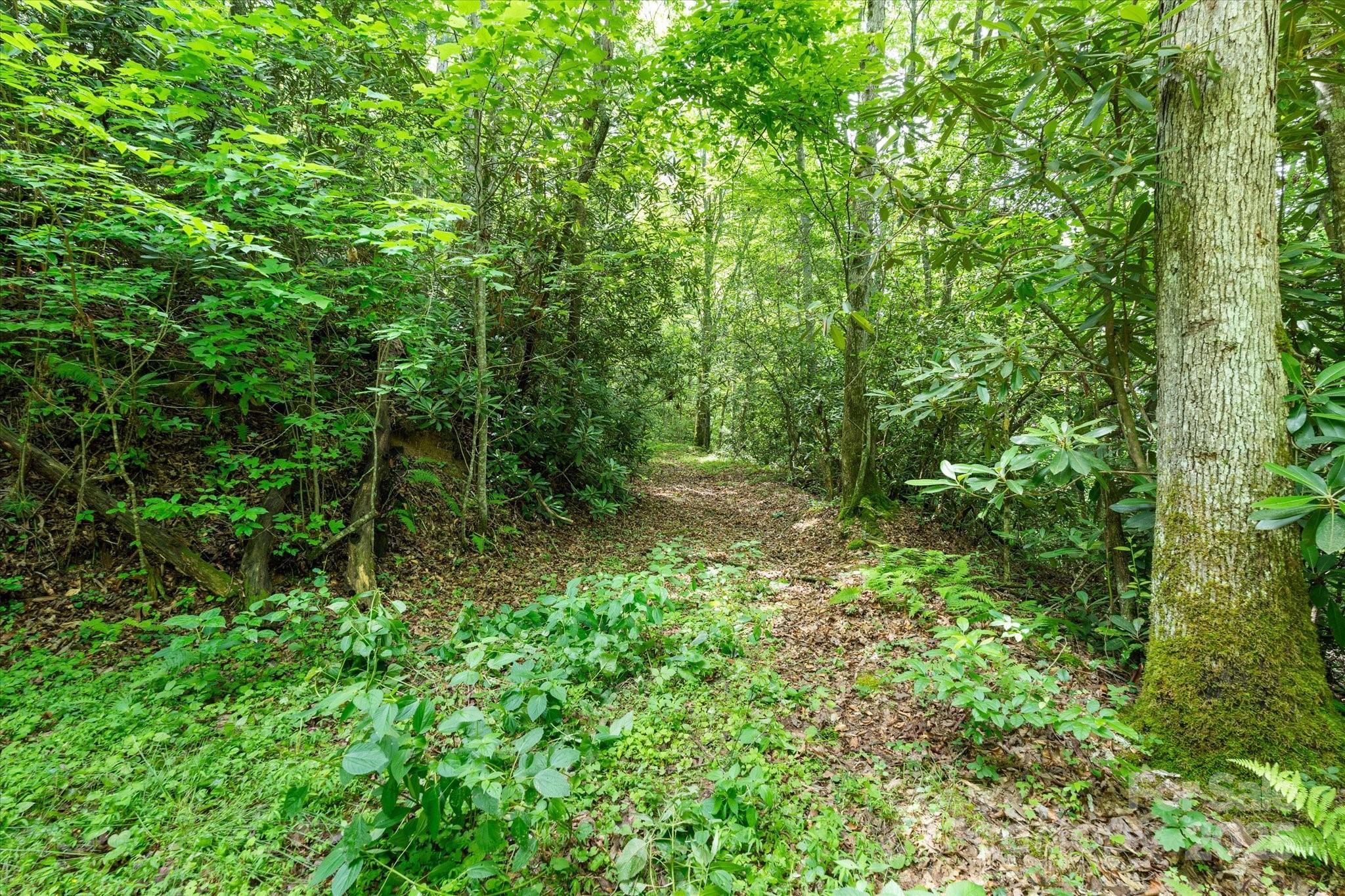 99999 Guntertown Road Property Photo 16