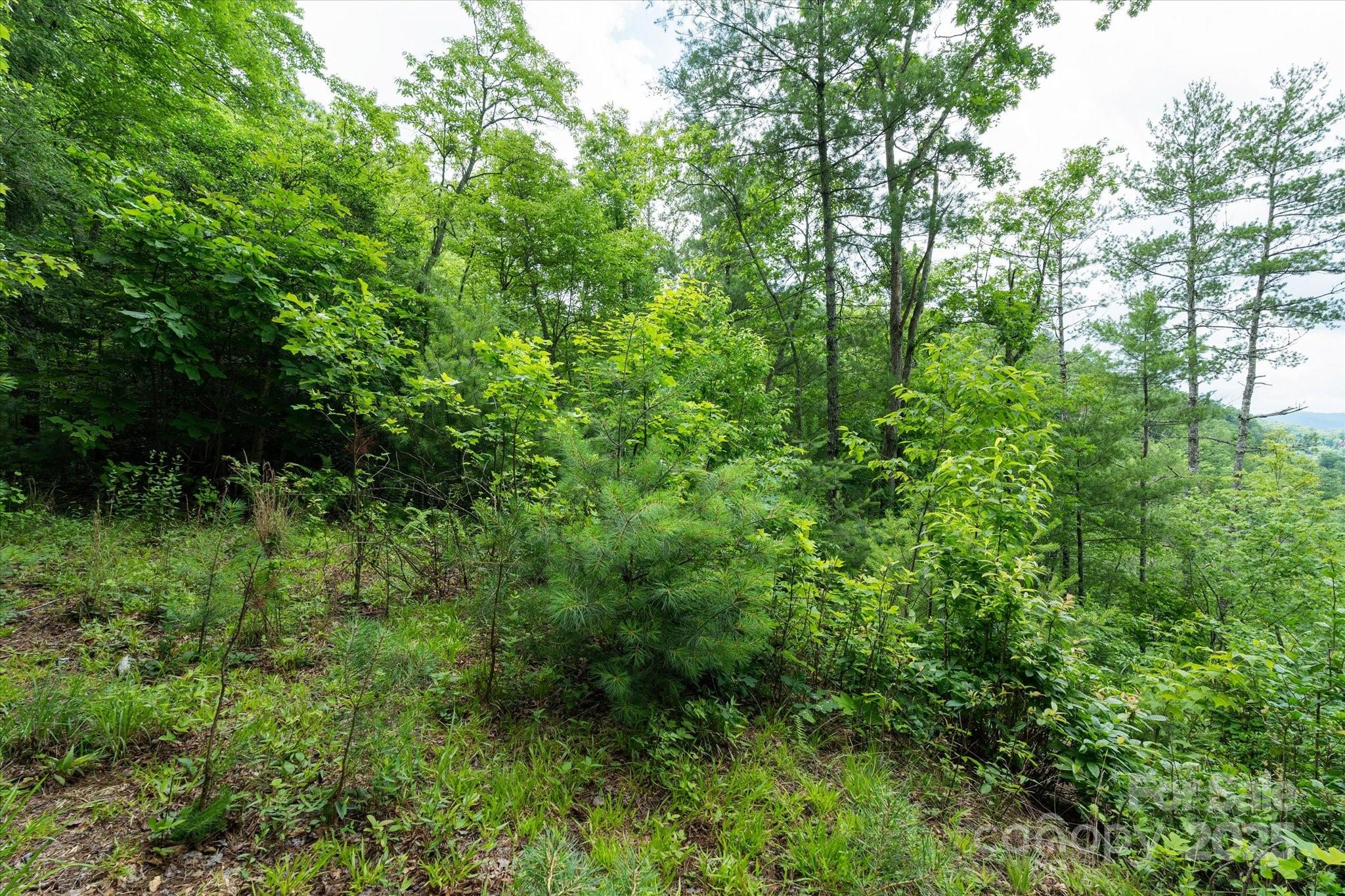 99999 Guntertown Road Property Photo 17