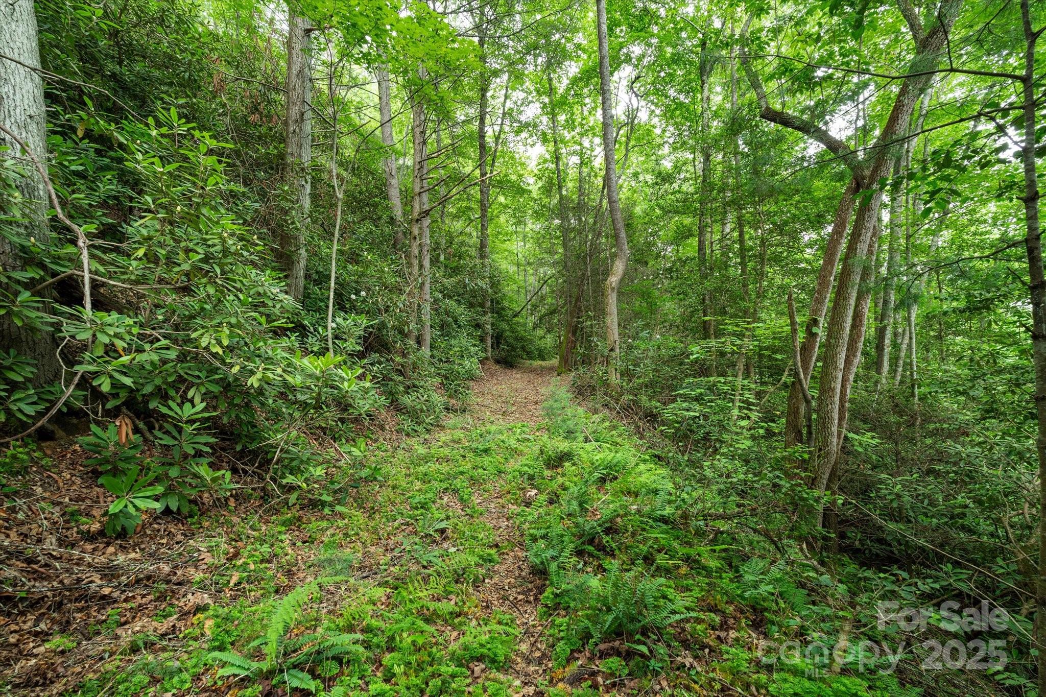 99999 Guntertown Road Property Photo 18