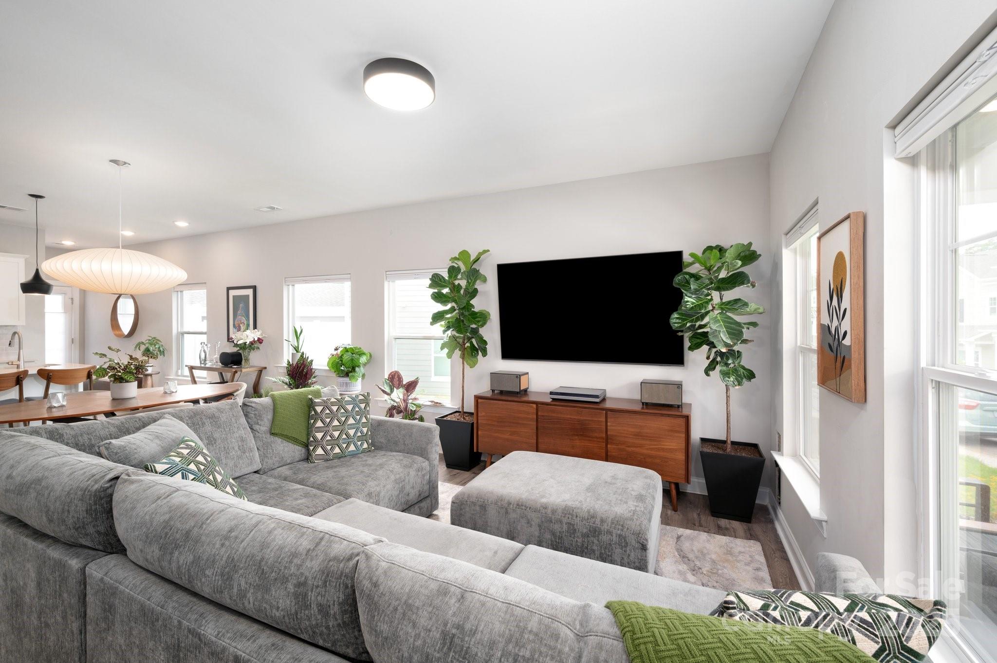 58 Walnut Springs Drive Property Photo 6