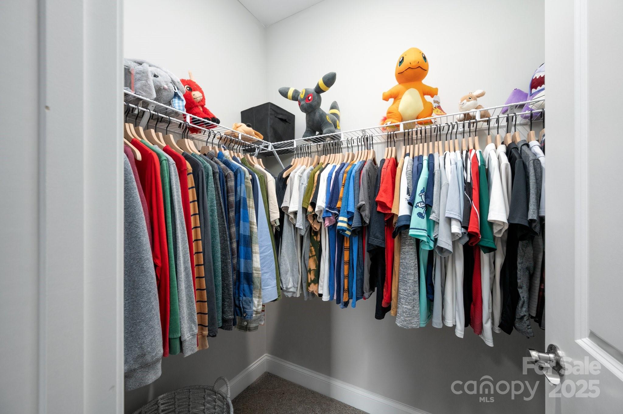 58 Walnut Springs Drive Property Photo 27