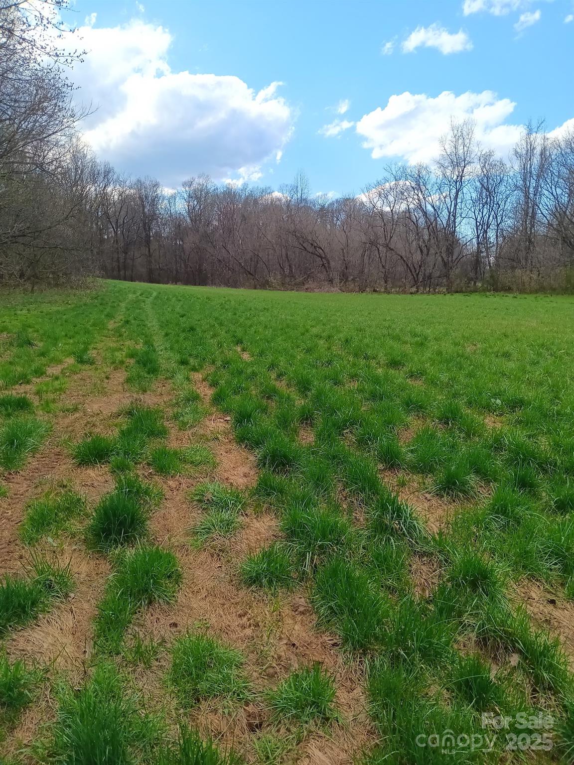 128 Backrush Court Property Photo 20