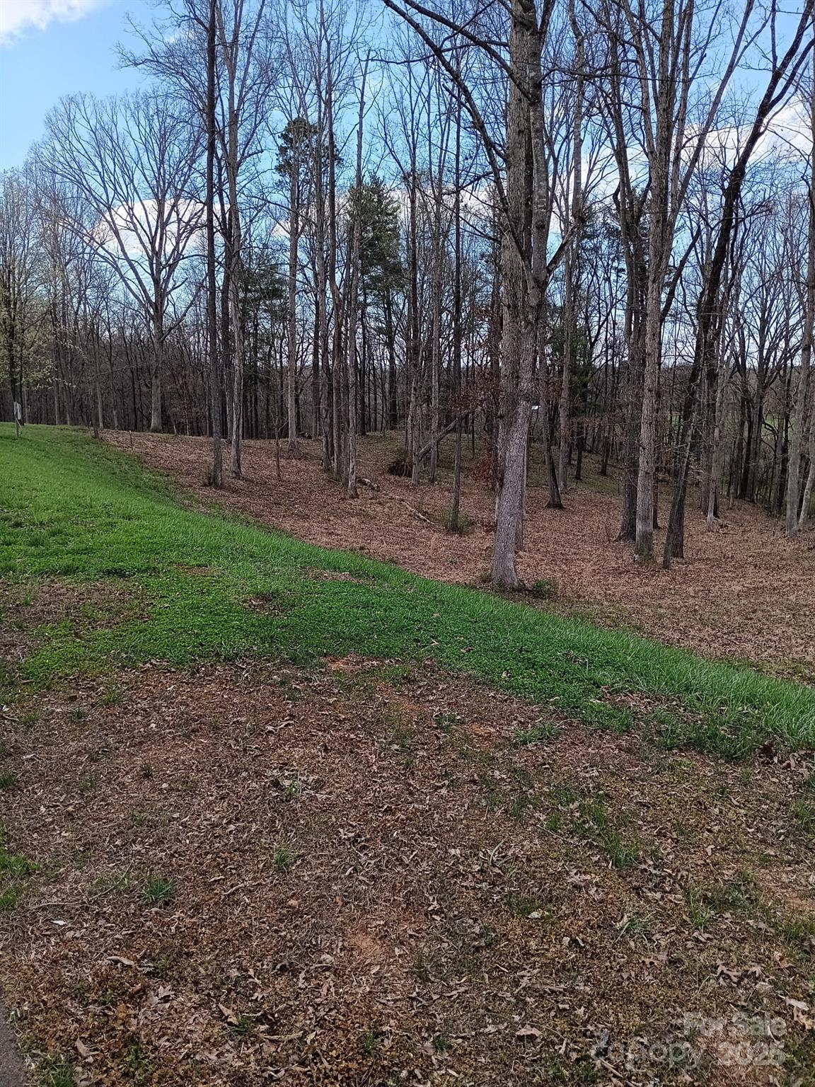 128 Backrush Court Property Photo 21