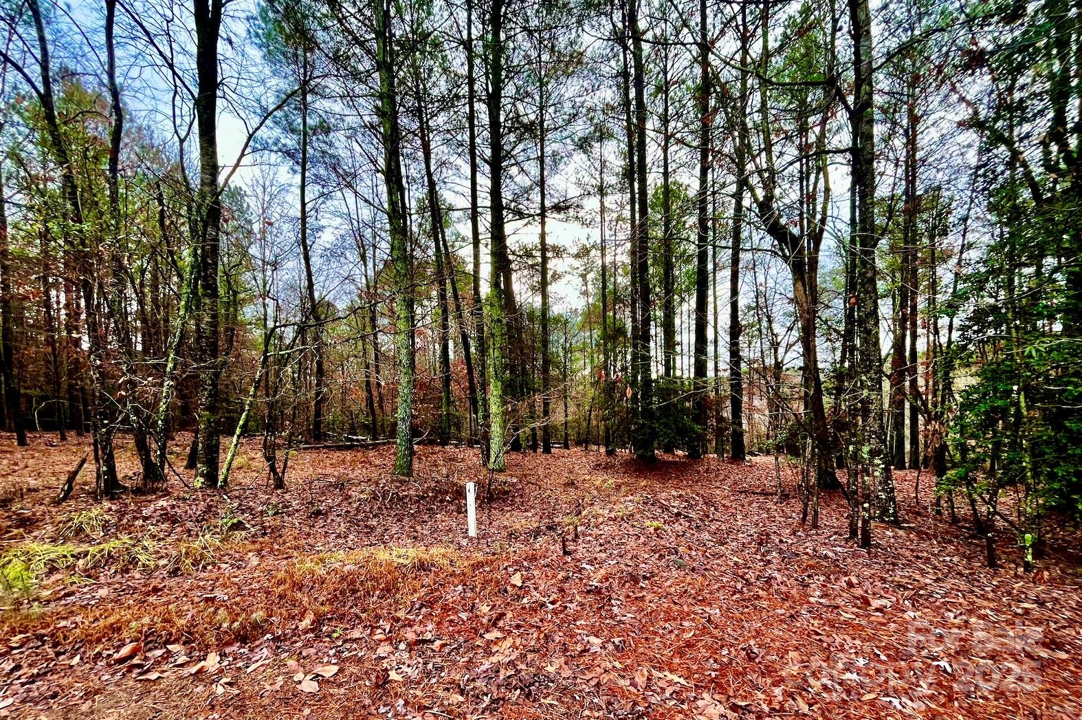 5418 Breakwater Drive Property Photo 11