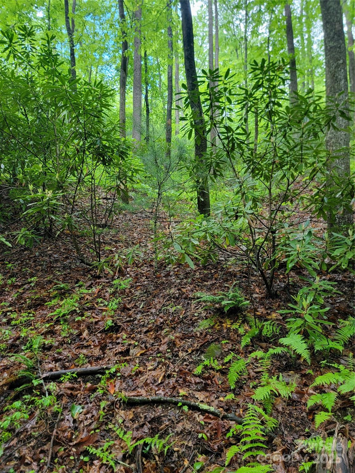 000 Rocky Top Road Property Photo