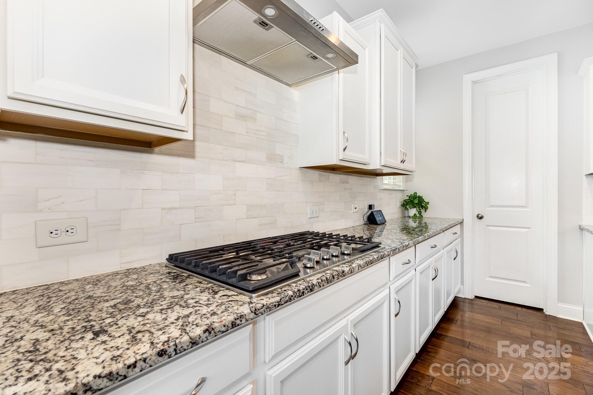 14228 Twin Eagles Lane Property Photo 15