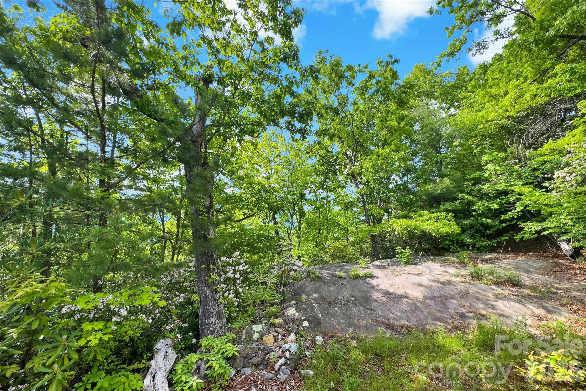 42 Parkway Drive Property Photo 3