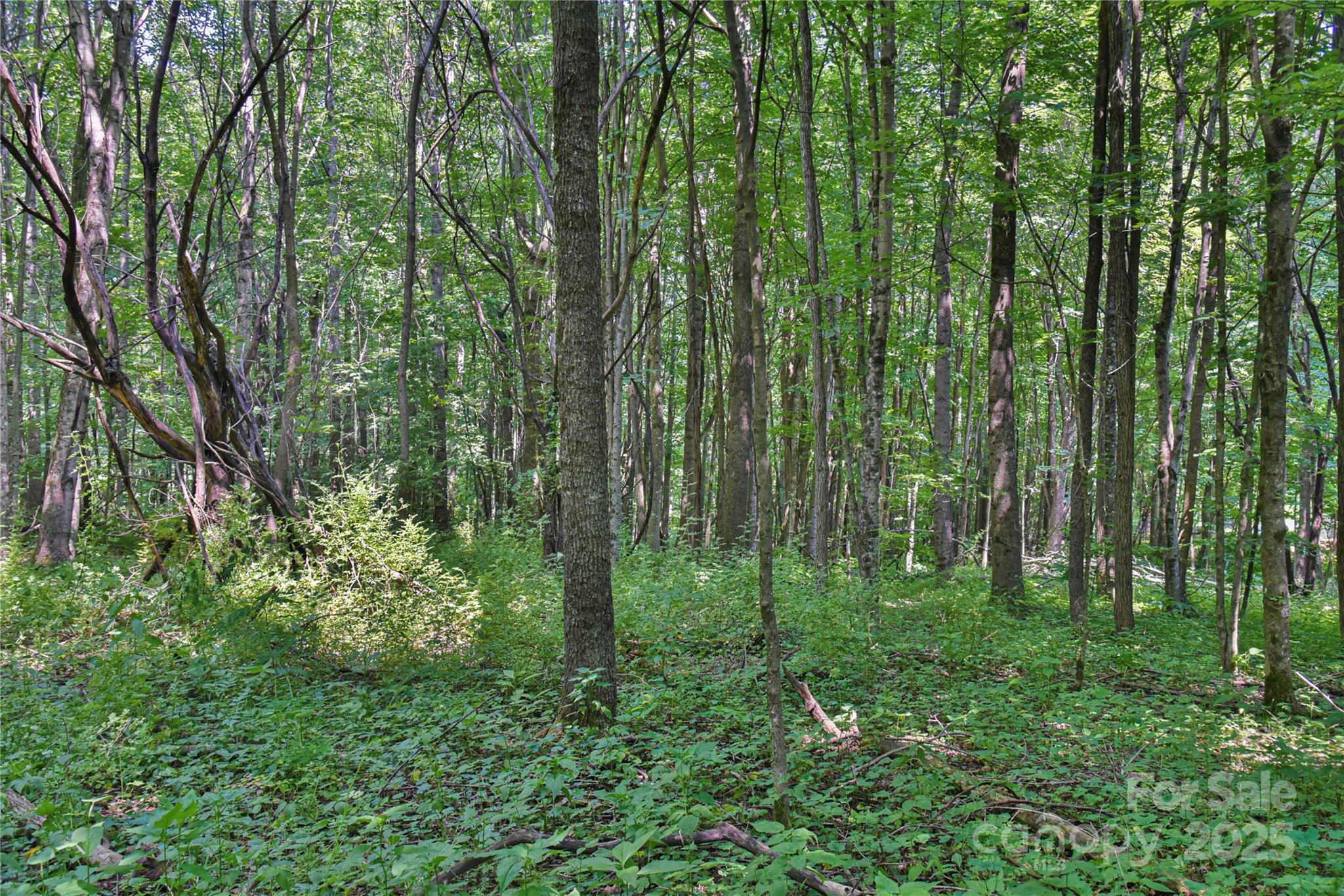 99999 Upward Way 36 Property Photo 8
