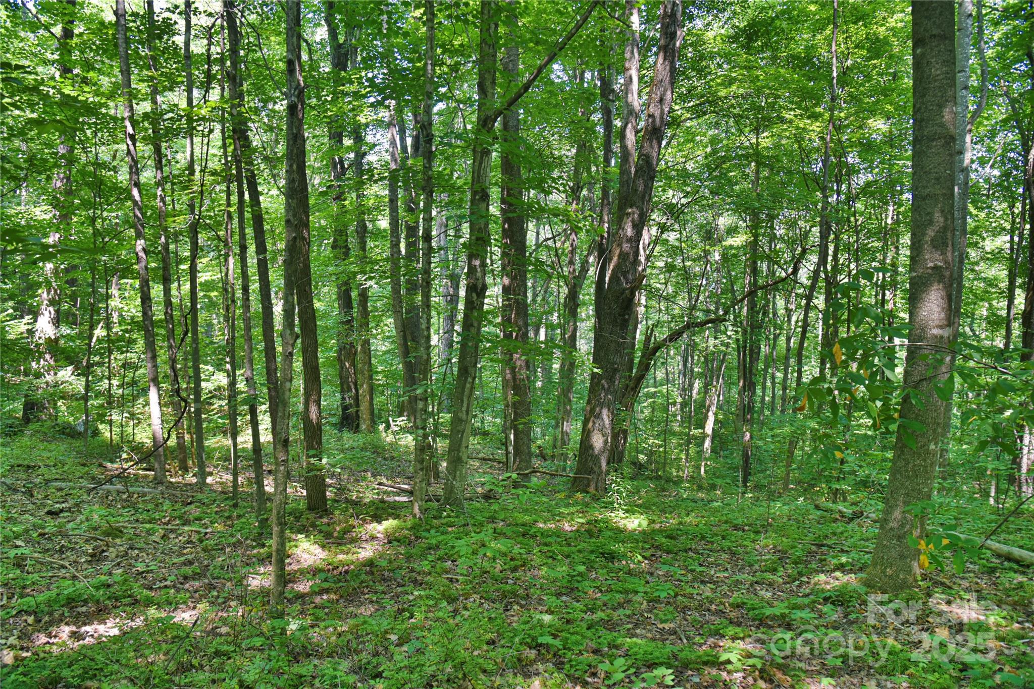 99999 Upward Way 36 Property Photo 9