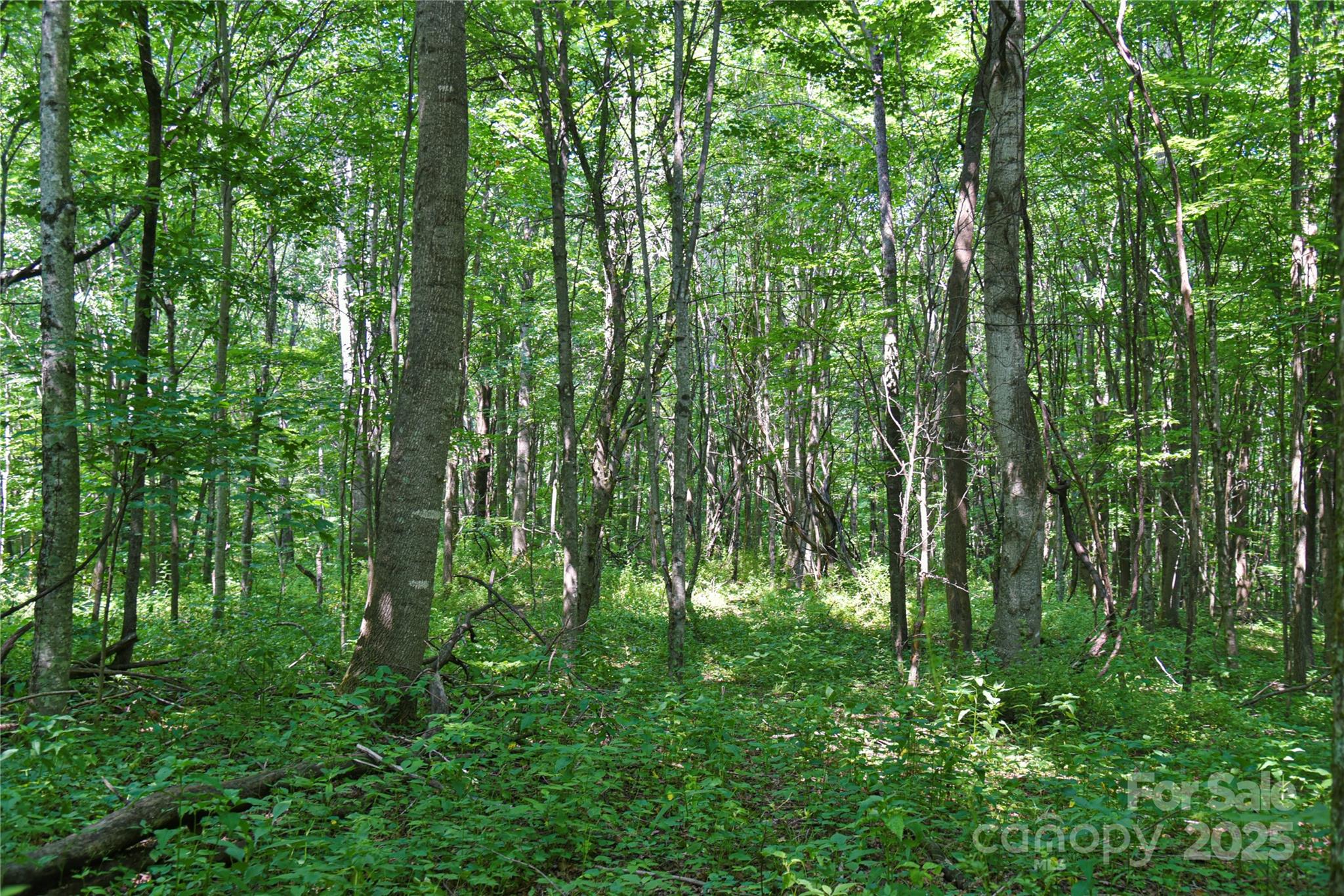 99999 Upward Way 36 Property Photo 10
