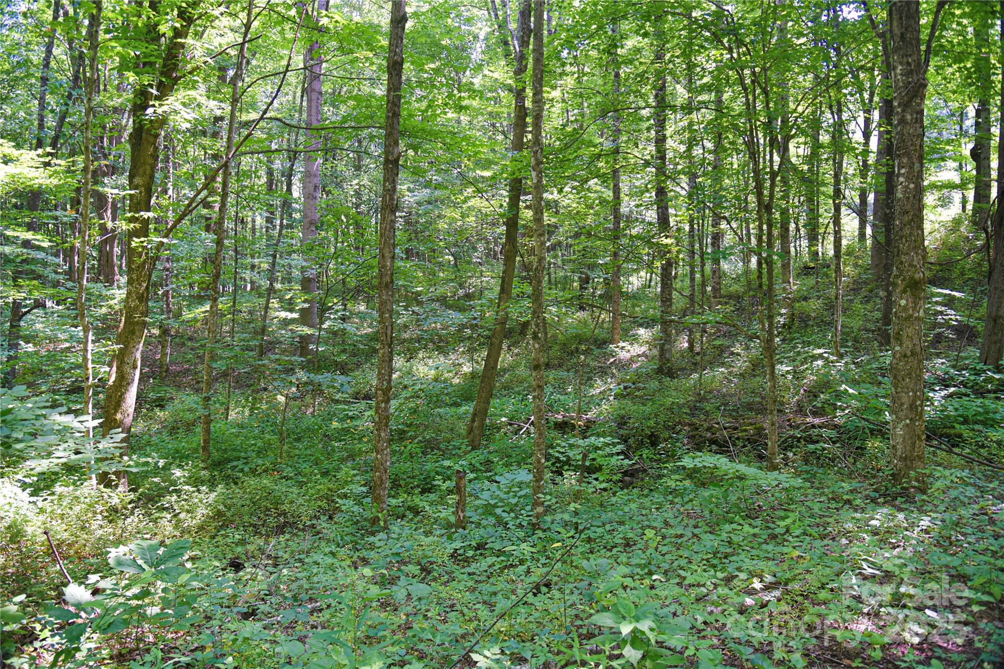 99999 Upward Way 36 Property Photo 12