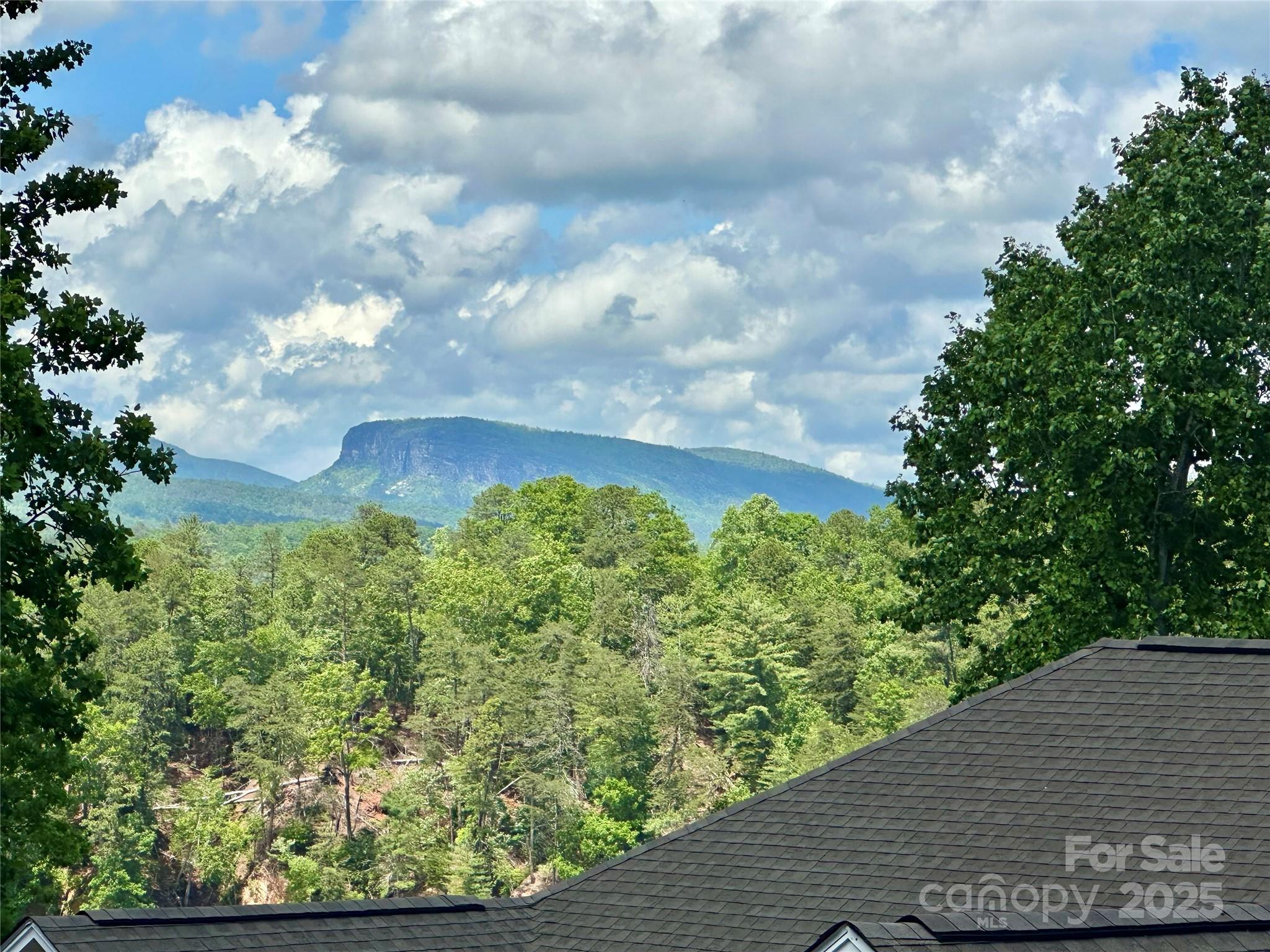 544 Harborside Drive Property Photo 8