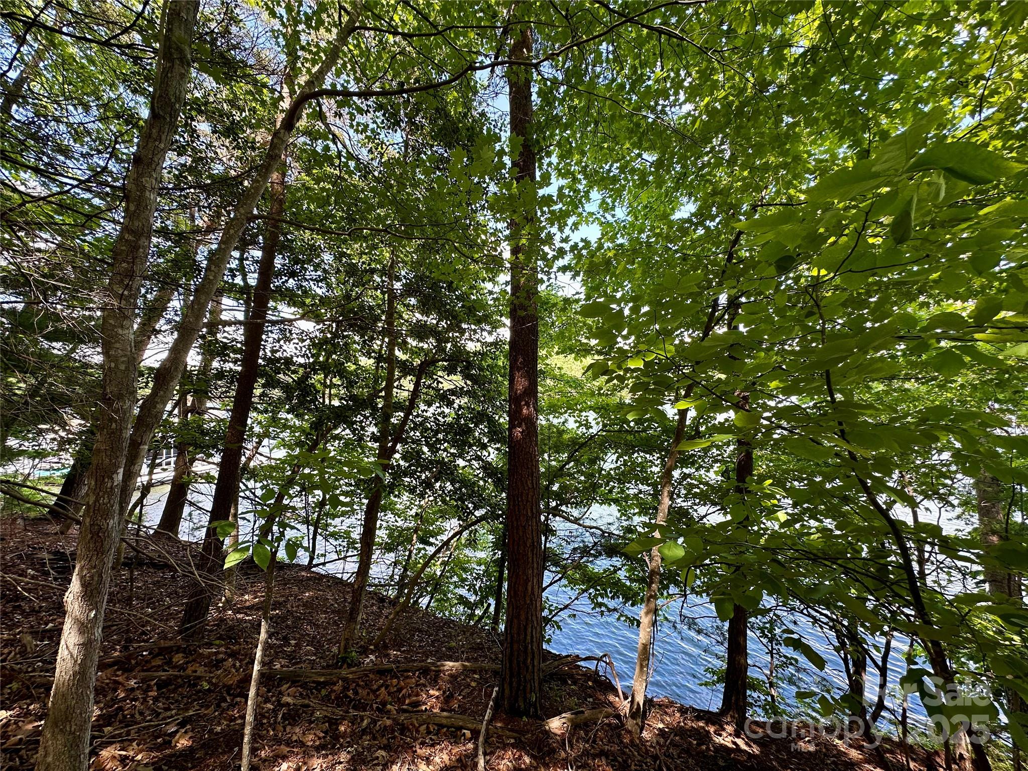 544 Harborside Drive Property Photo 11