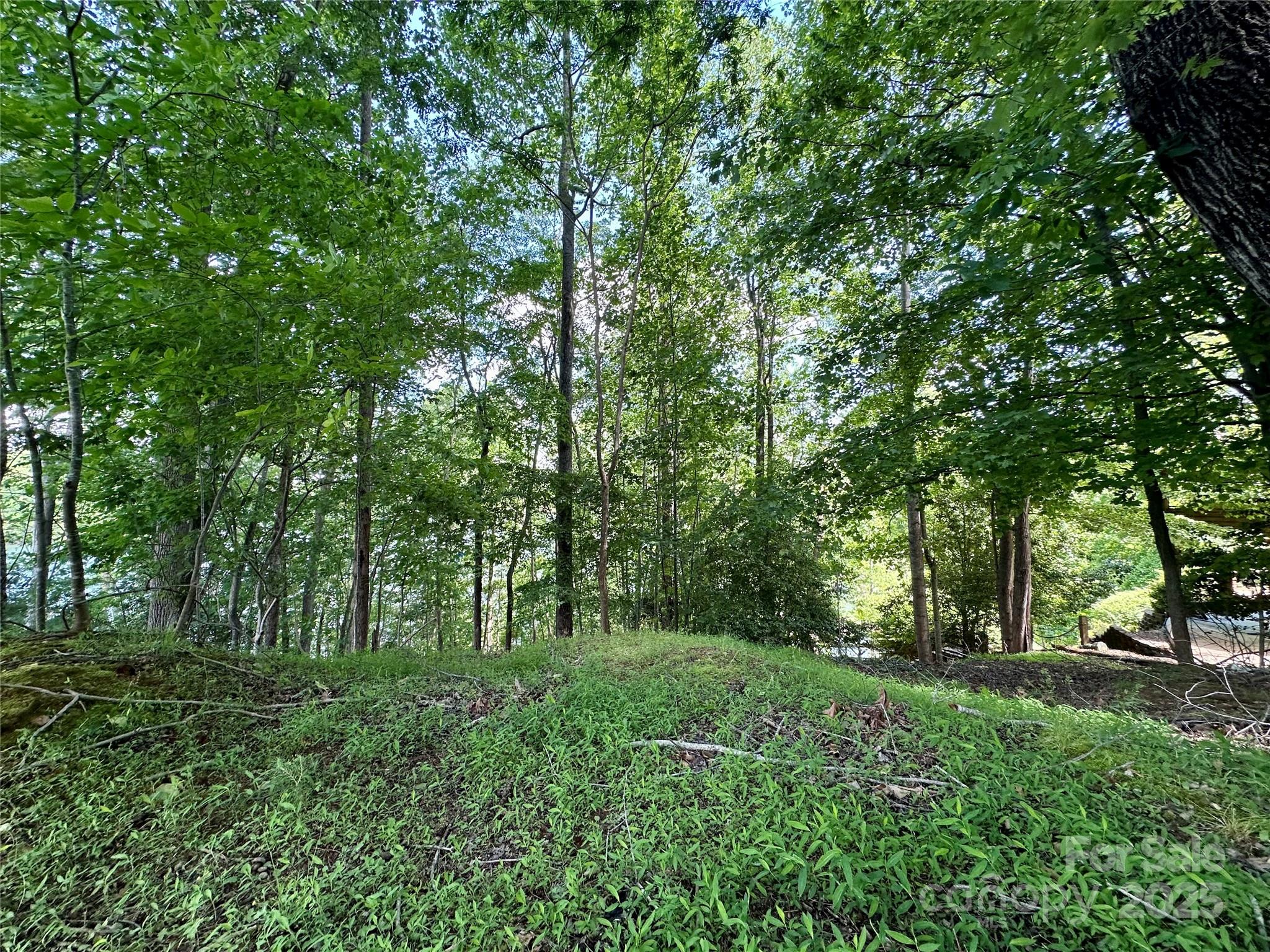 544 Harborside Drive Property Photo 16