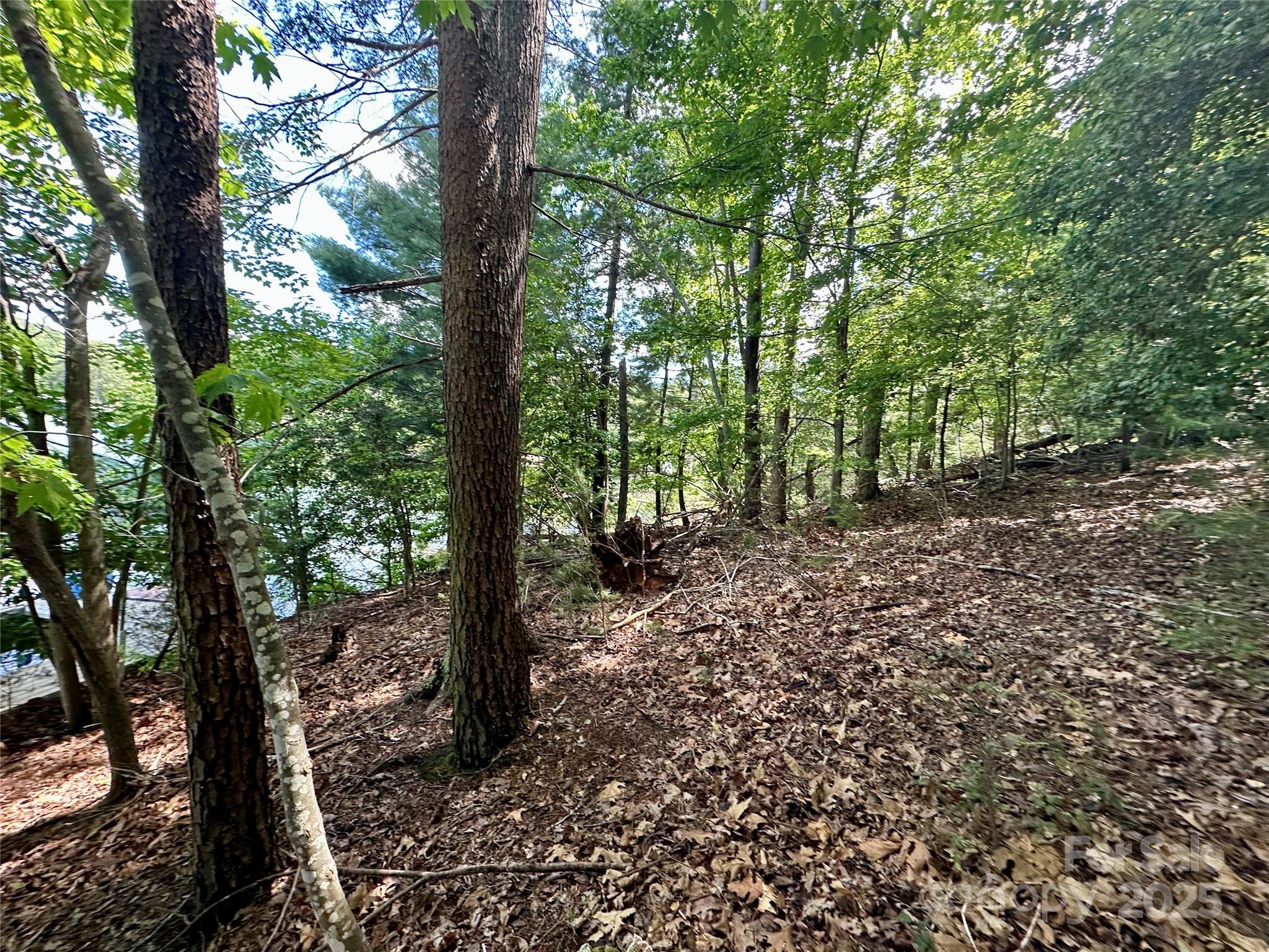 544 Harborside Drive Property Photo 18
