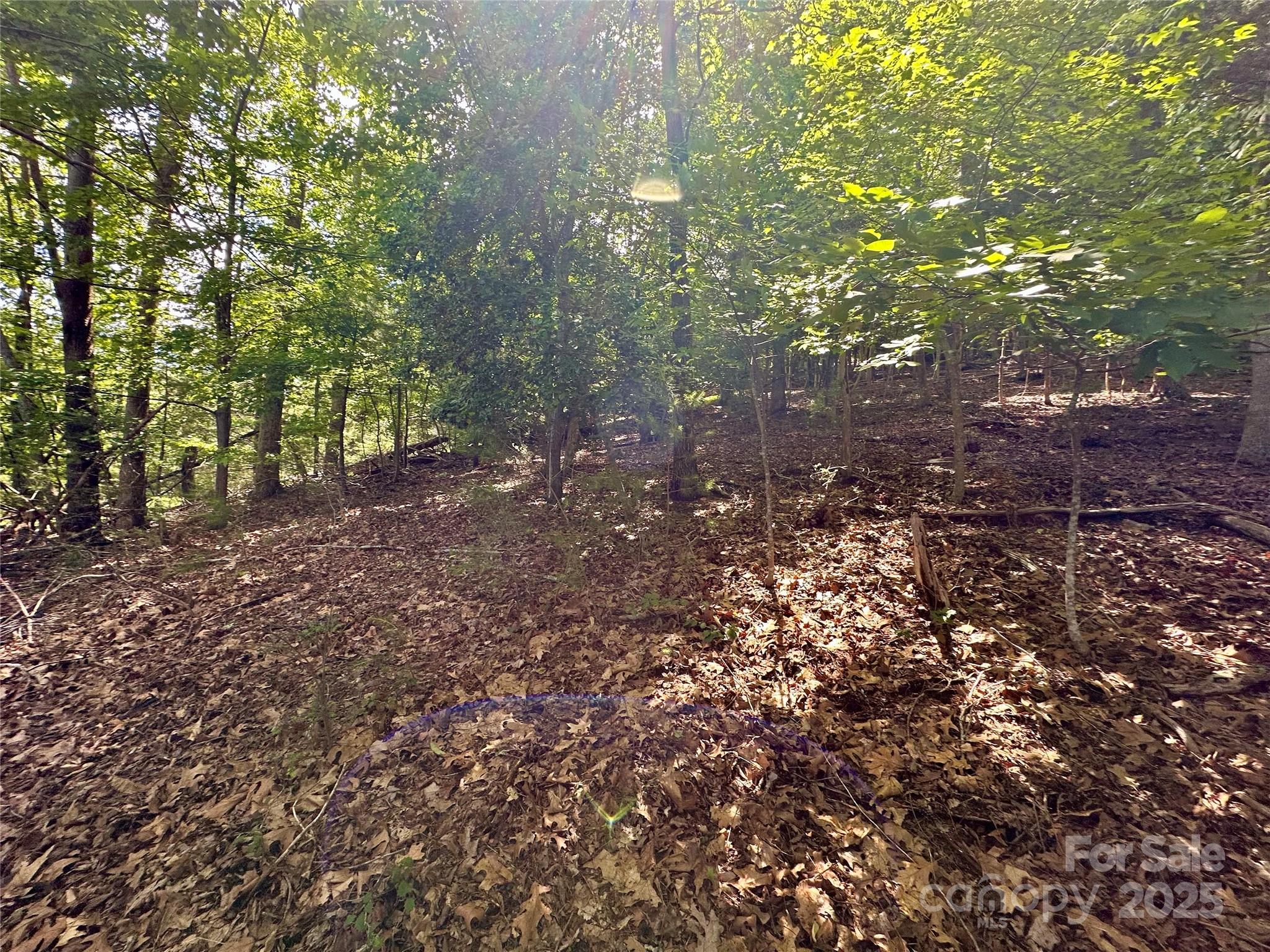 544 Harborside Drive Property Photo 19