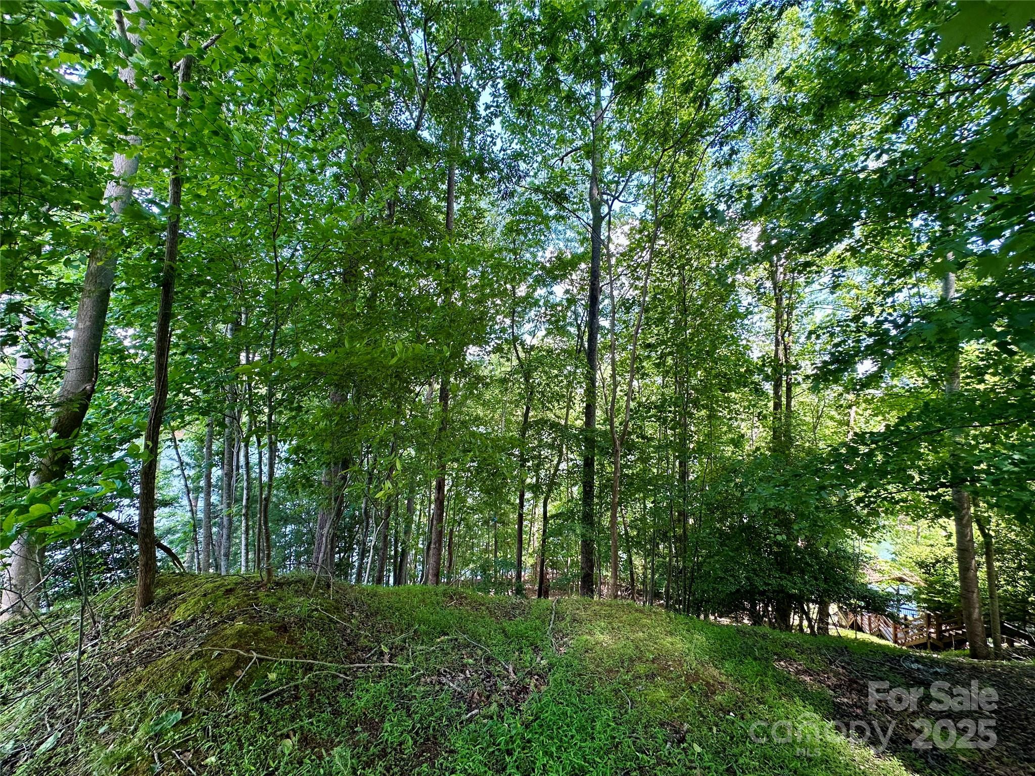 544 Harborside Drive Property Photo 22