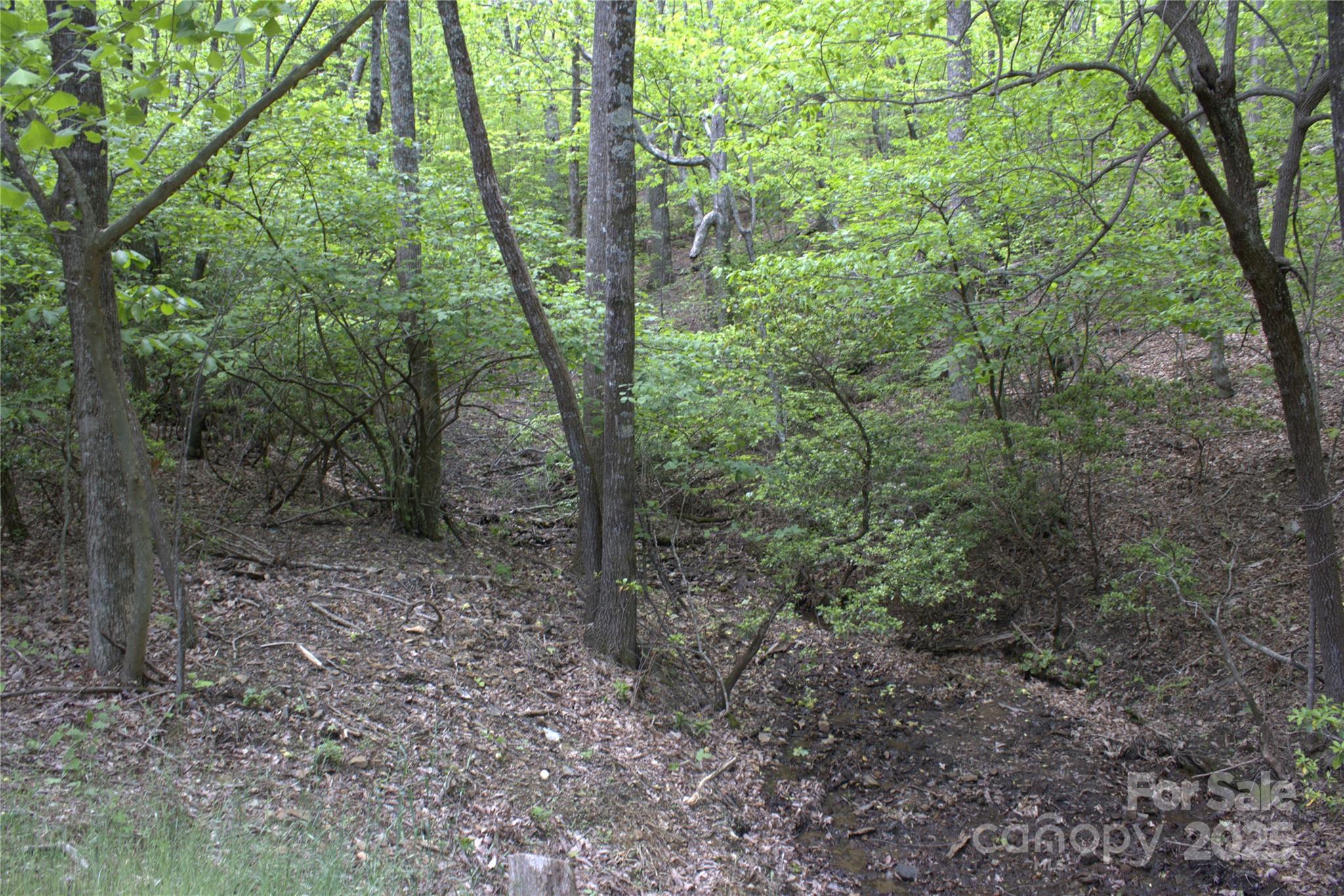 0 Blockaders Den None Property Photo 3