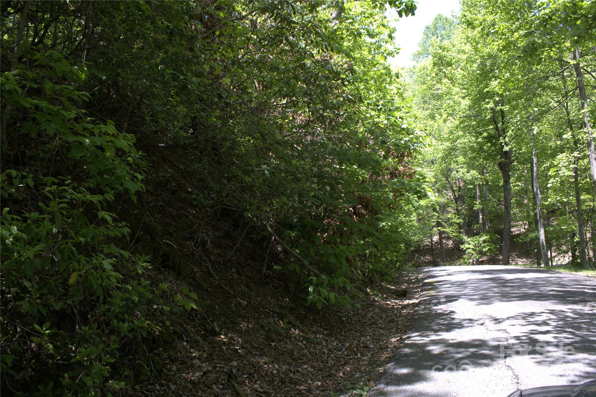 0 Blockaders Den None Property Photo 4