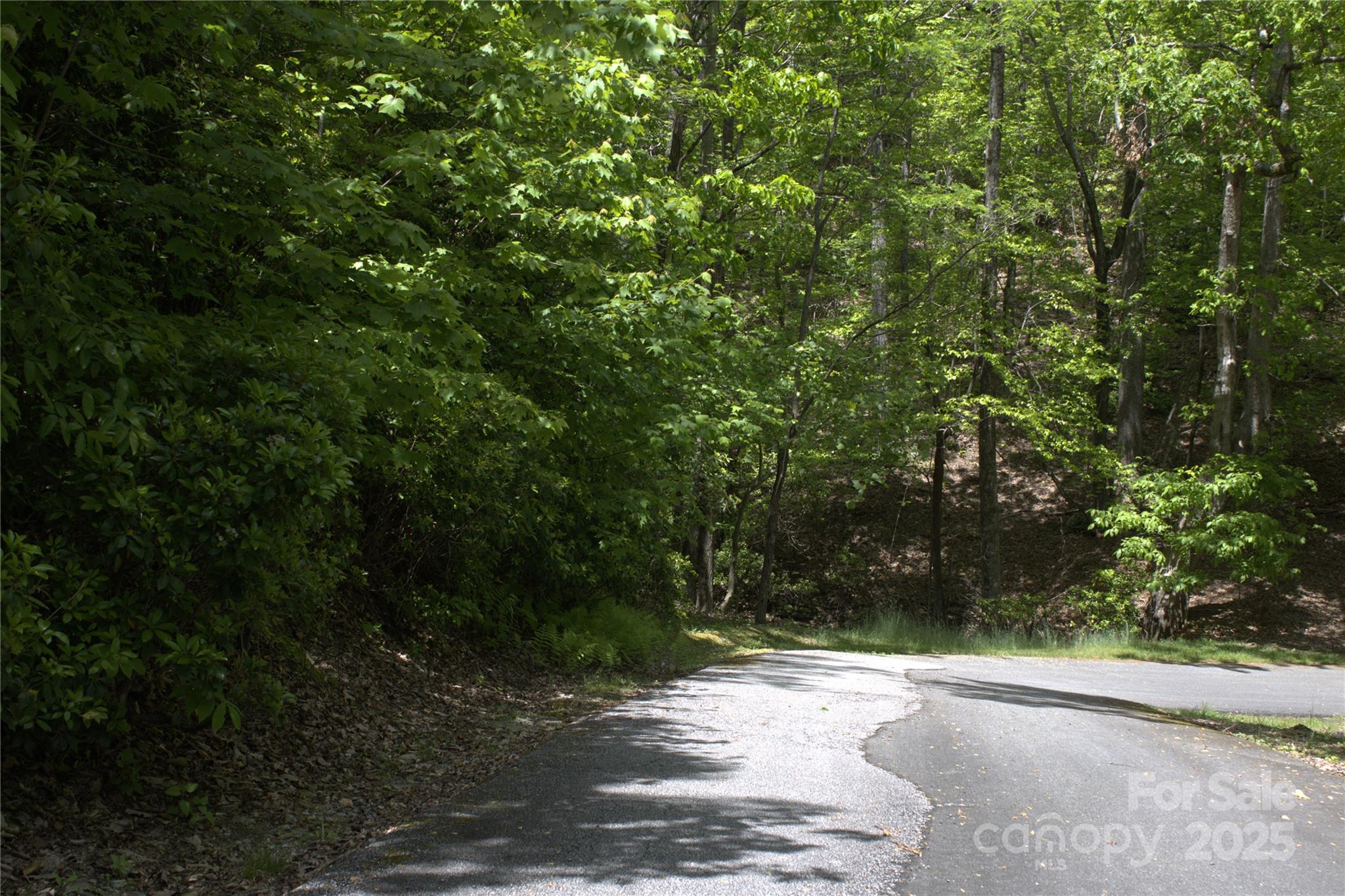 0 Blockaders Den None Property Photo 5