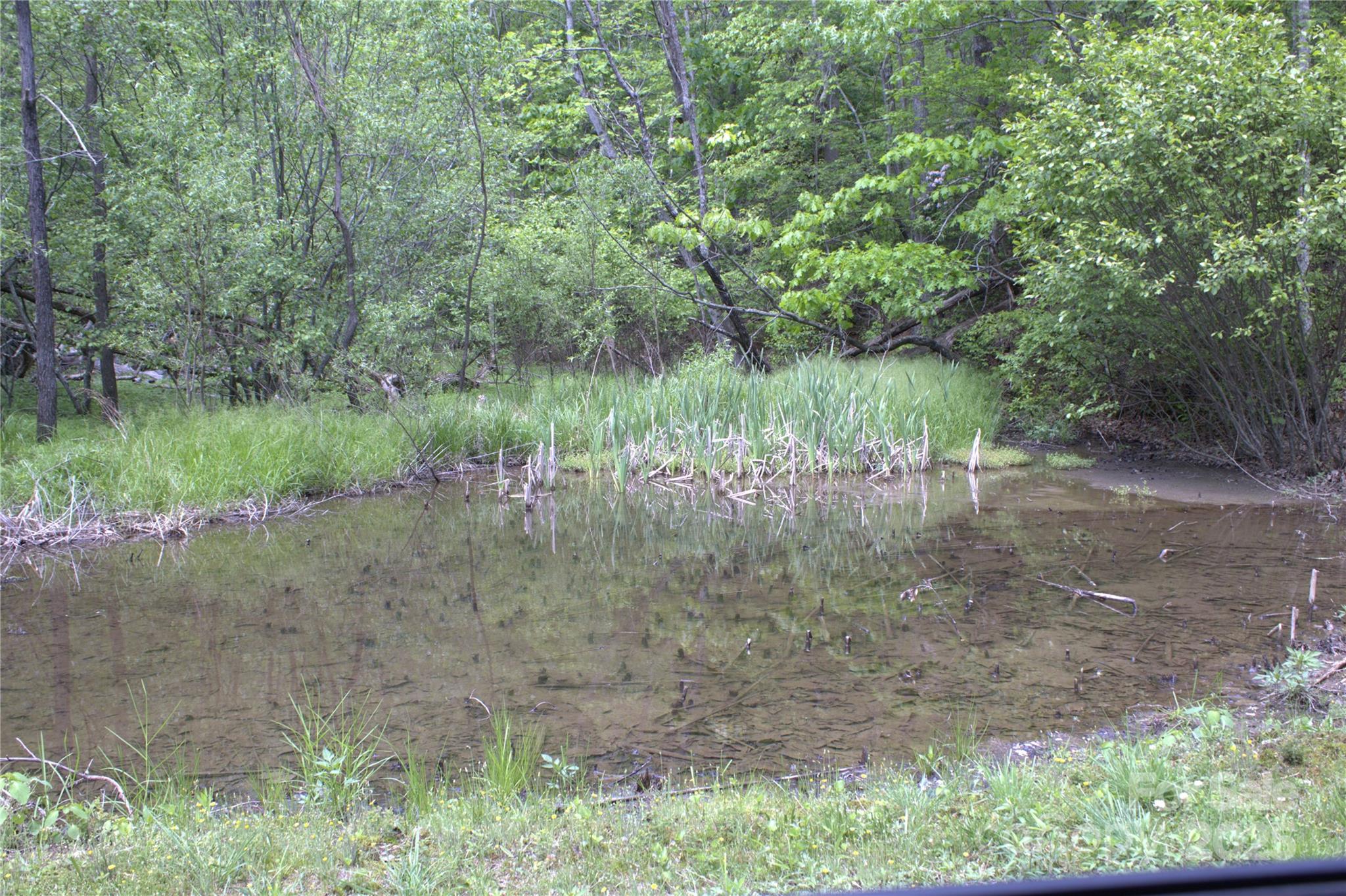 0 Blockaders Den None Property Photo 7