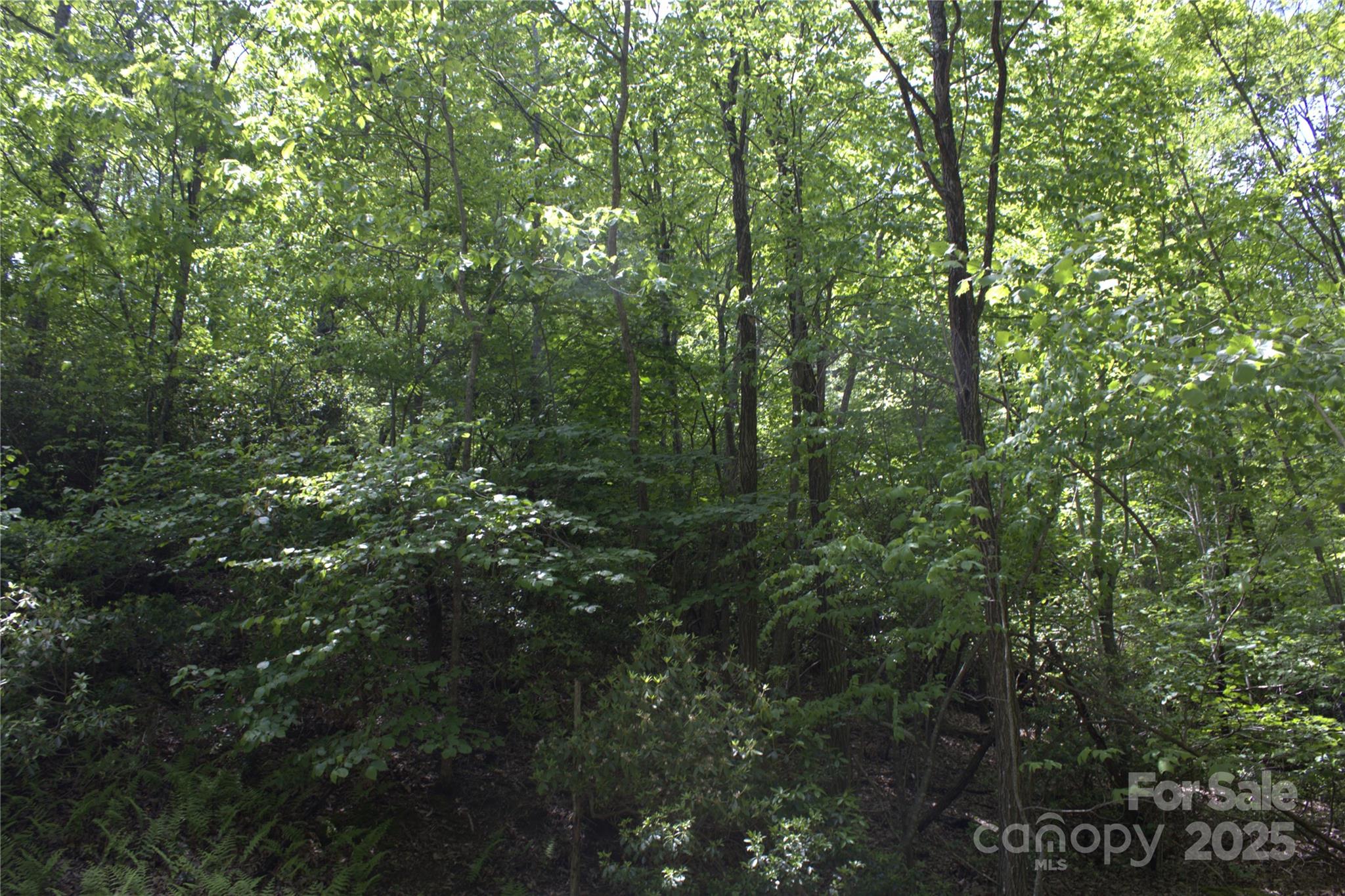 0 Blockaders Den None Property Photo 8