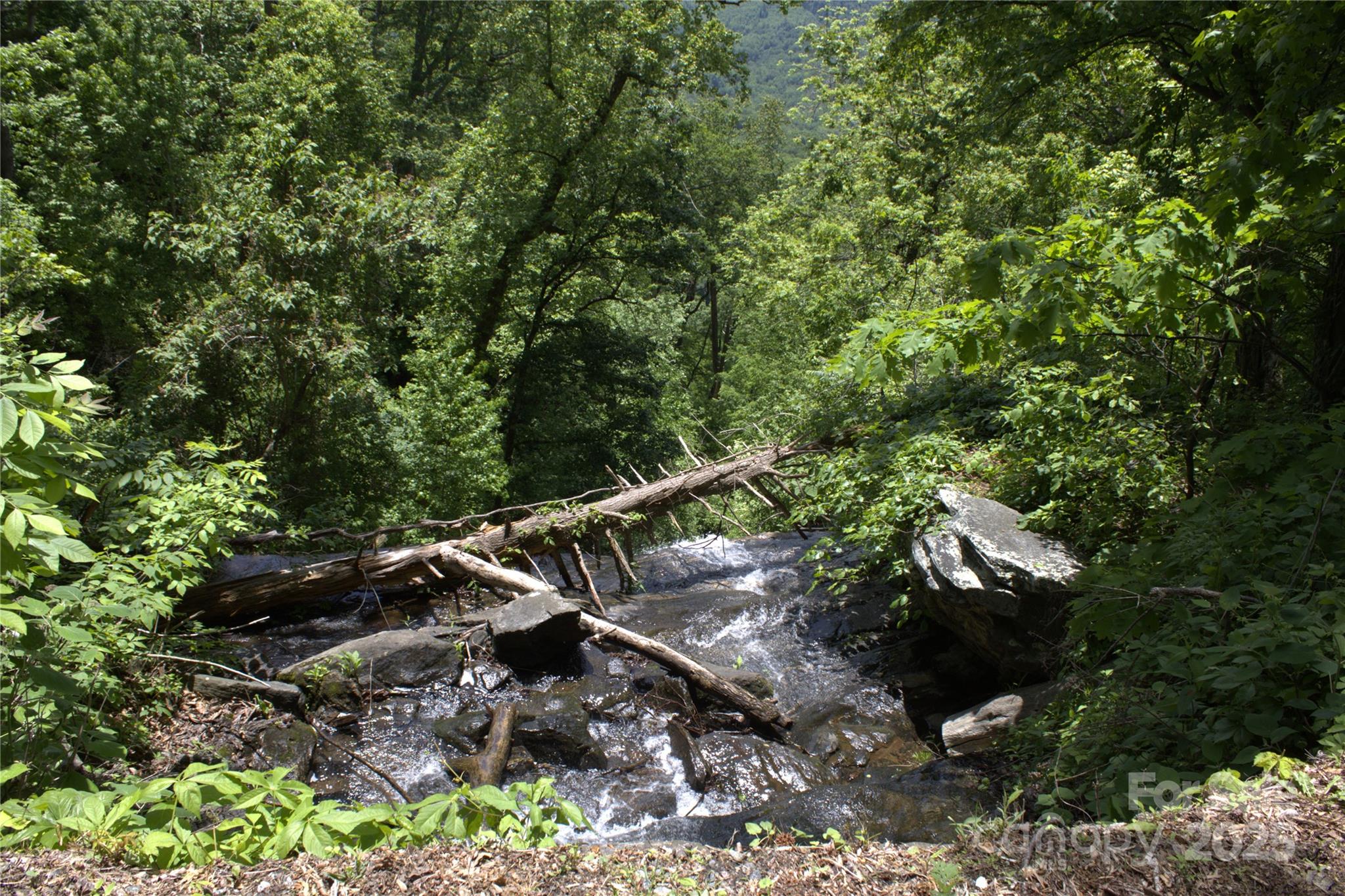 0 Blockaders Den None Property Photo 10