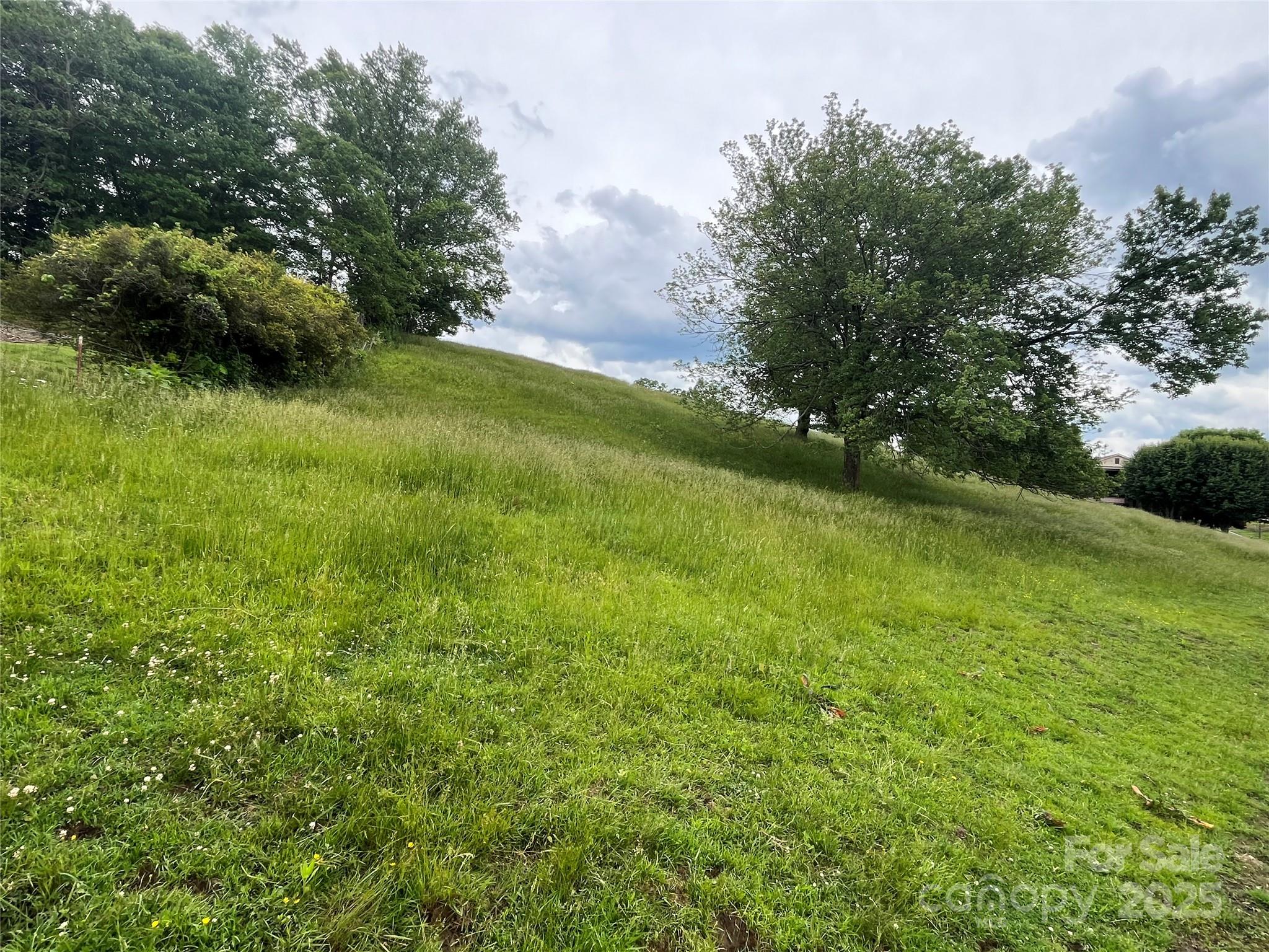 Tbd Hyder Mountain Road Property Photo 3