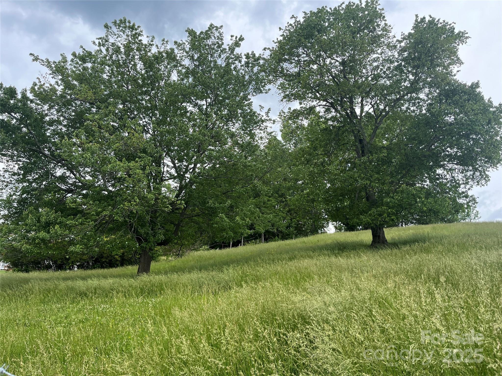 Tbd Hyder Mountain Road Property Photo 4