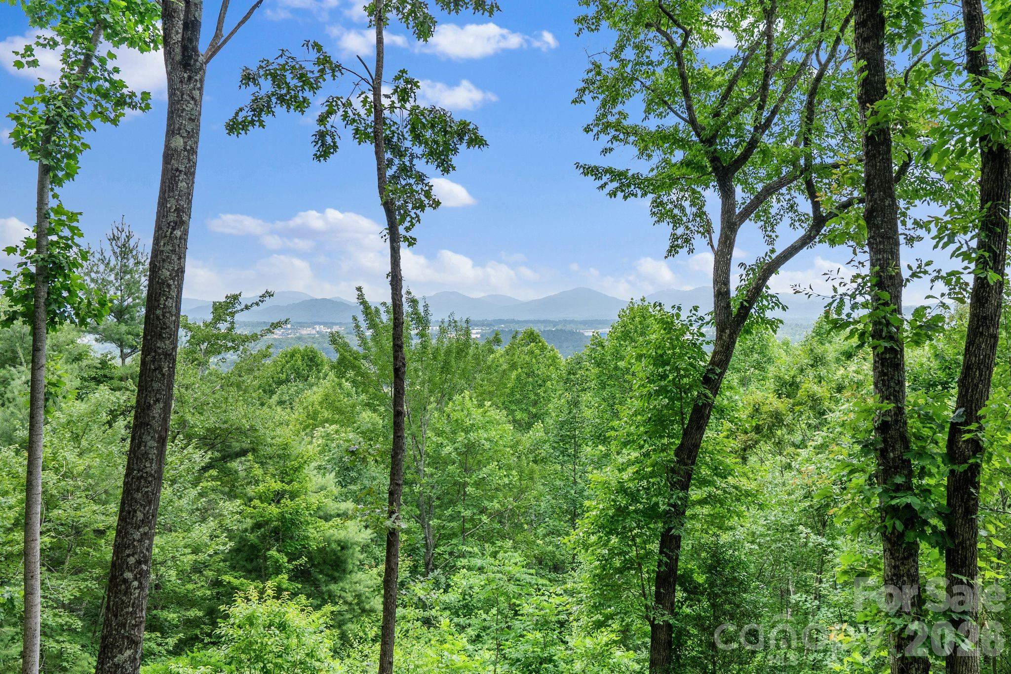 120 Split Rock Trail Property Photo 4