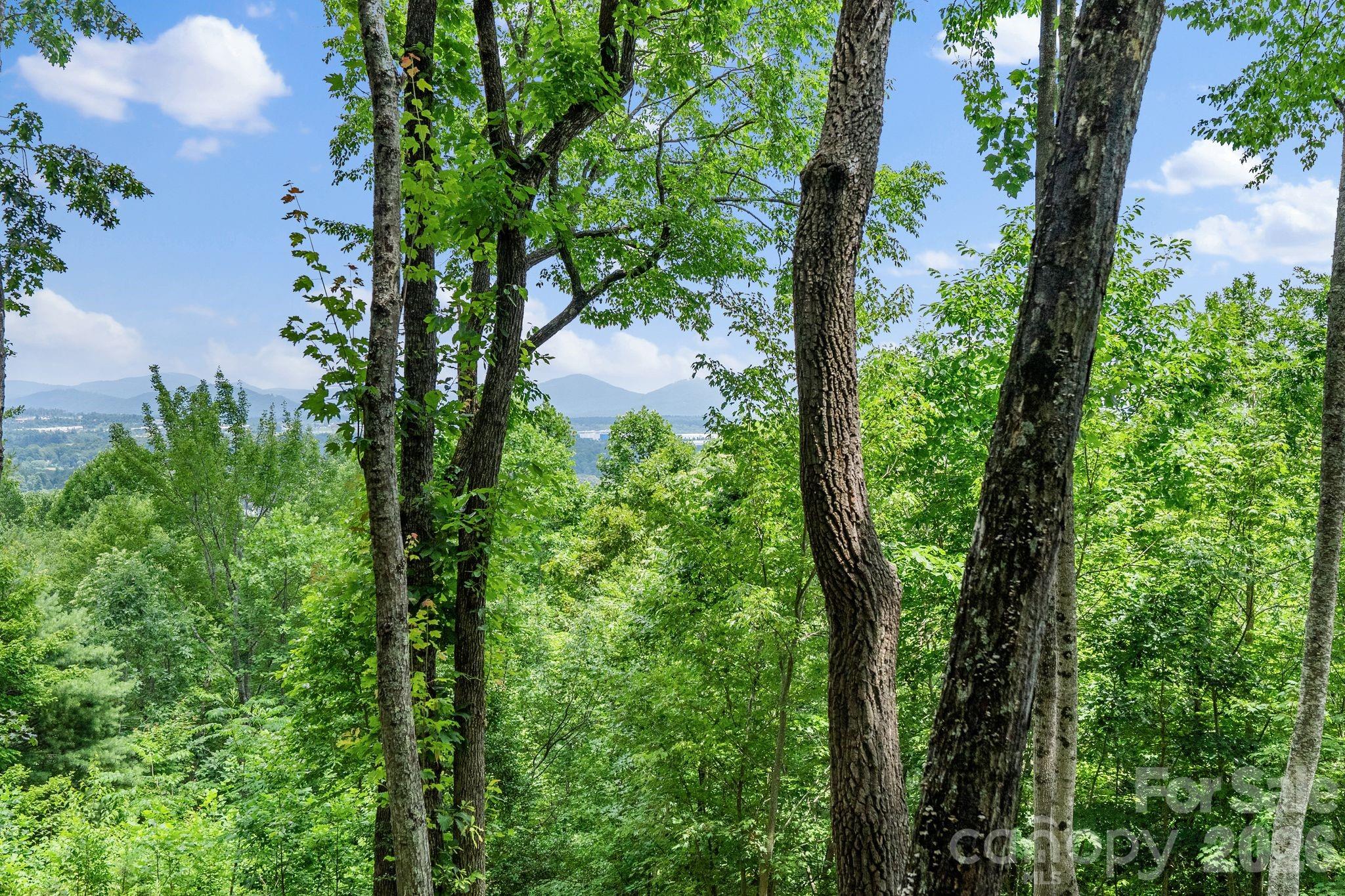 120 Split Rock Trail Property Photo 5