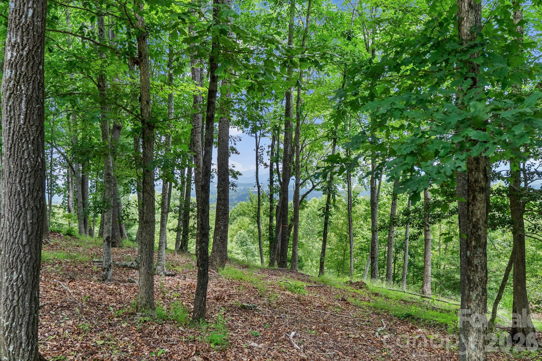 120 Split Rock Trail Property Photo 6