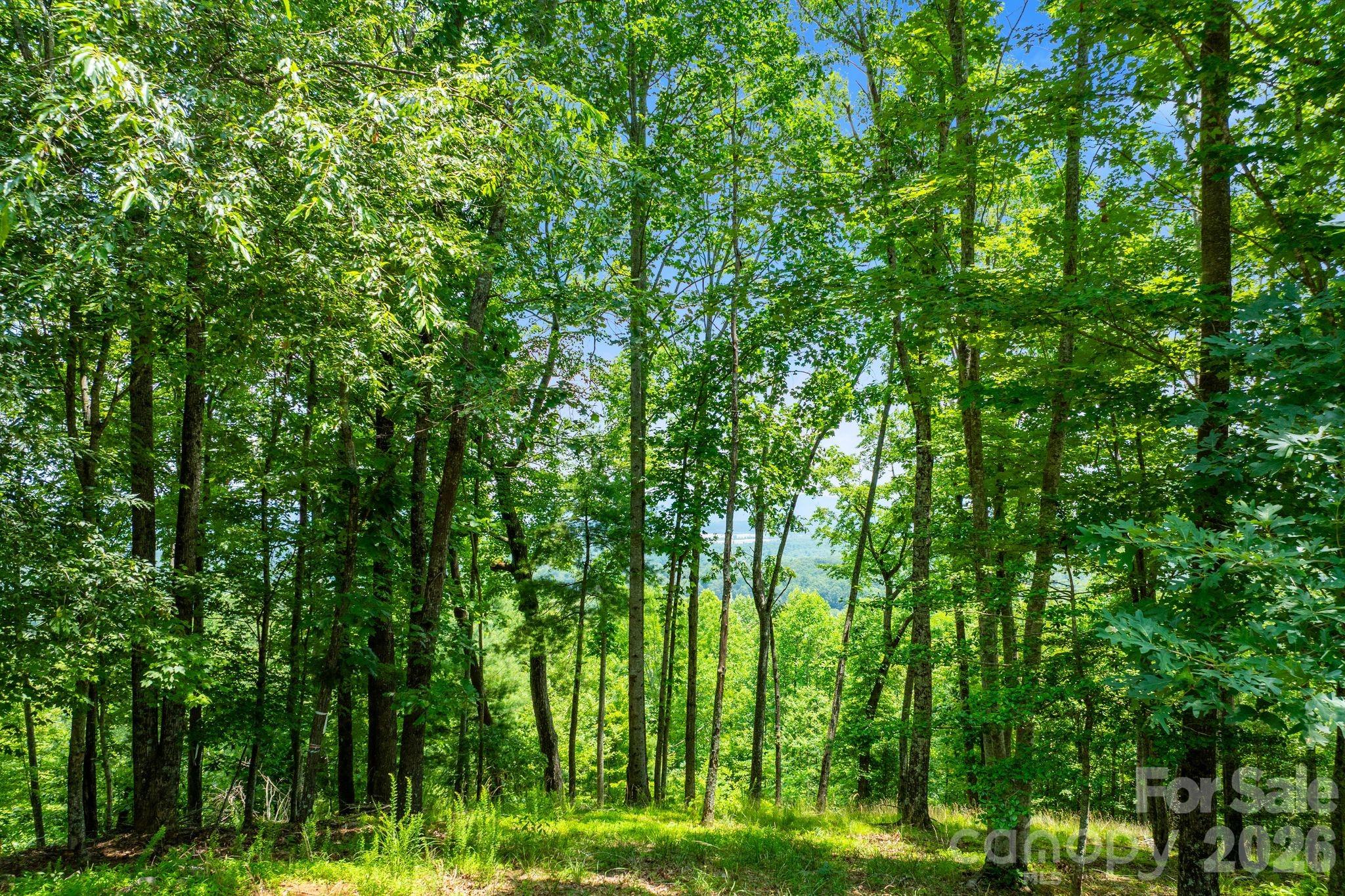 120 Split Rock Trail Property Photo 7